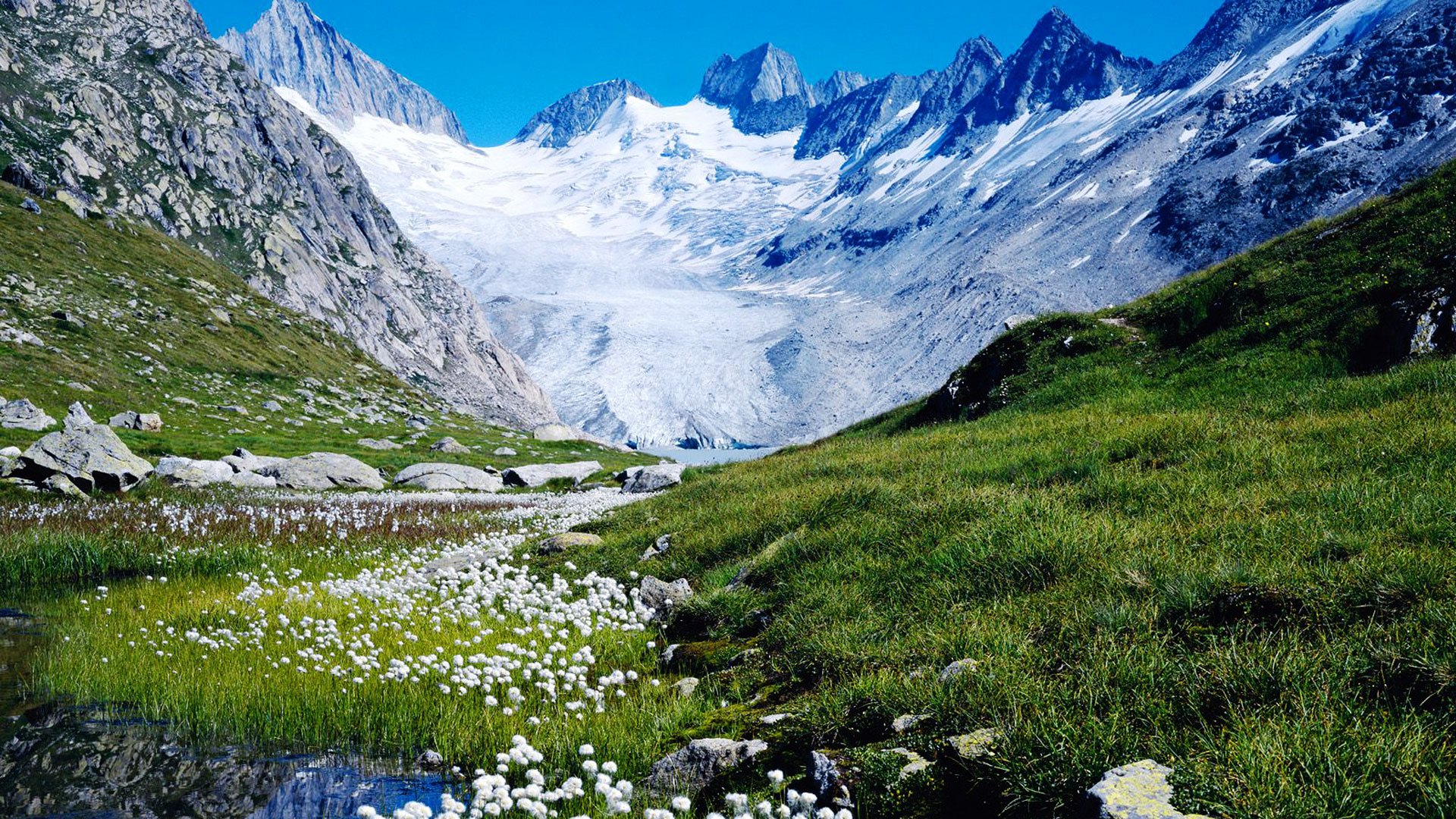 Beautiful Nature In Switzerland Wallpaper