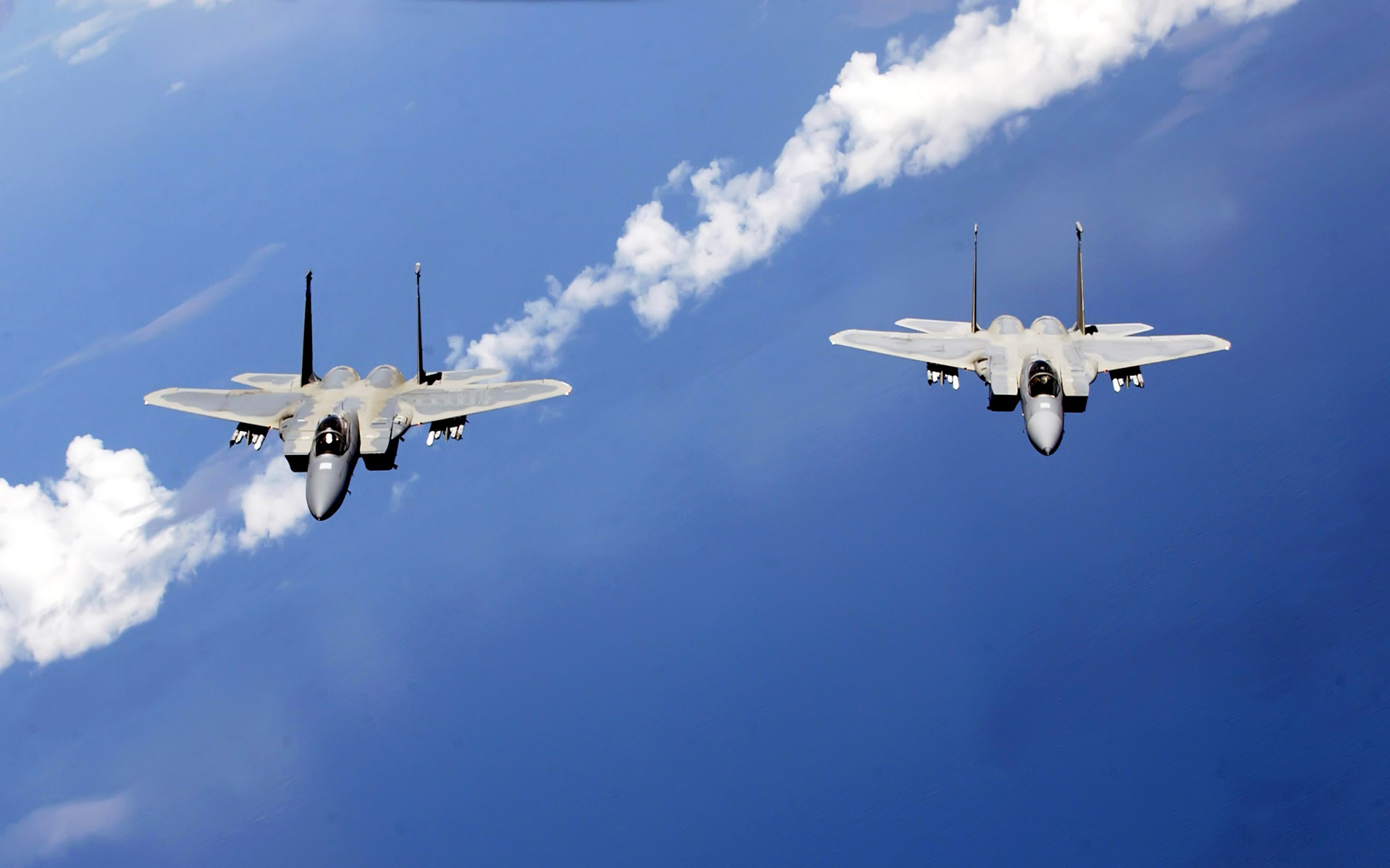 F Eagles From the Air National Guard HD wallpaper