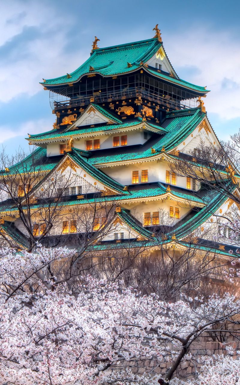 Download Wallpaper 800x1280 City, Japan, Temple, Sky, Spring, Cherry, Color Samsung Galaxy Note Gt N Meizu Mx2 HD Background