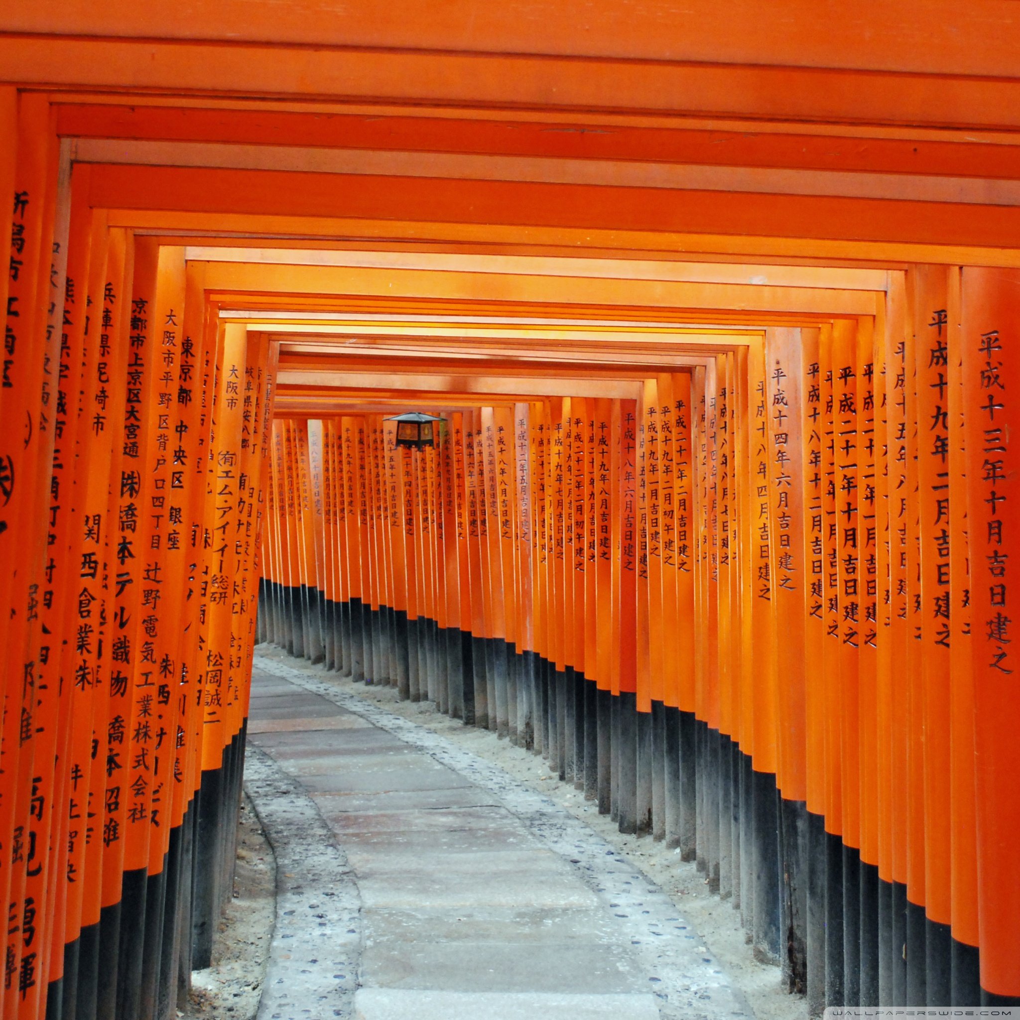 Fushimi Inari Taisha, Kyoto, Japan Ultra HD Desktop Background Wallpaper for 4K UHD TV, Widescreen & UltraWide Desktop & Laptop, Tablet