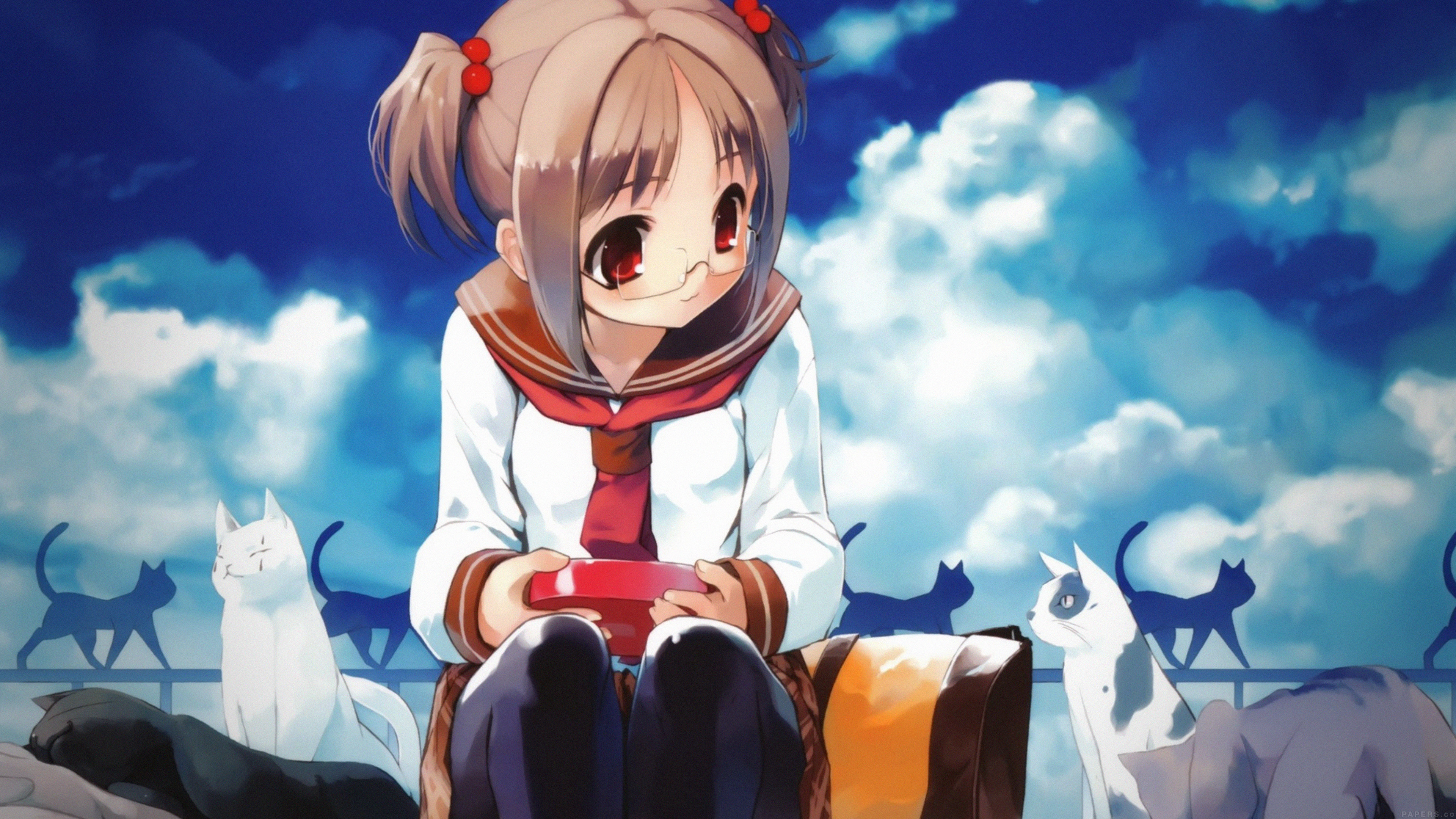 wallpaper for desktop, laptop. girl and cat anime illust art blue day