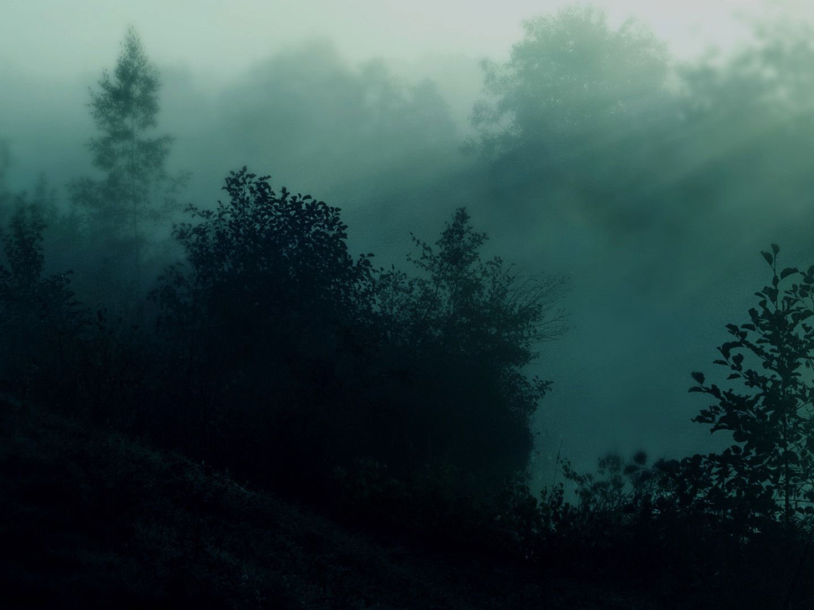 Aesthetic Black Wallpaper, Nature • Wallpaper For You