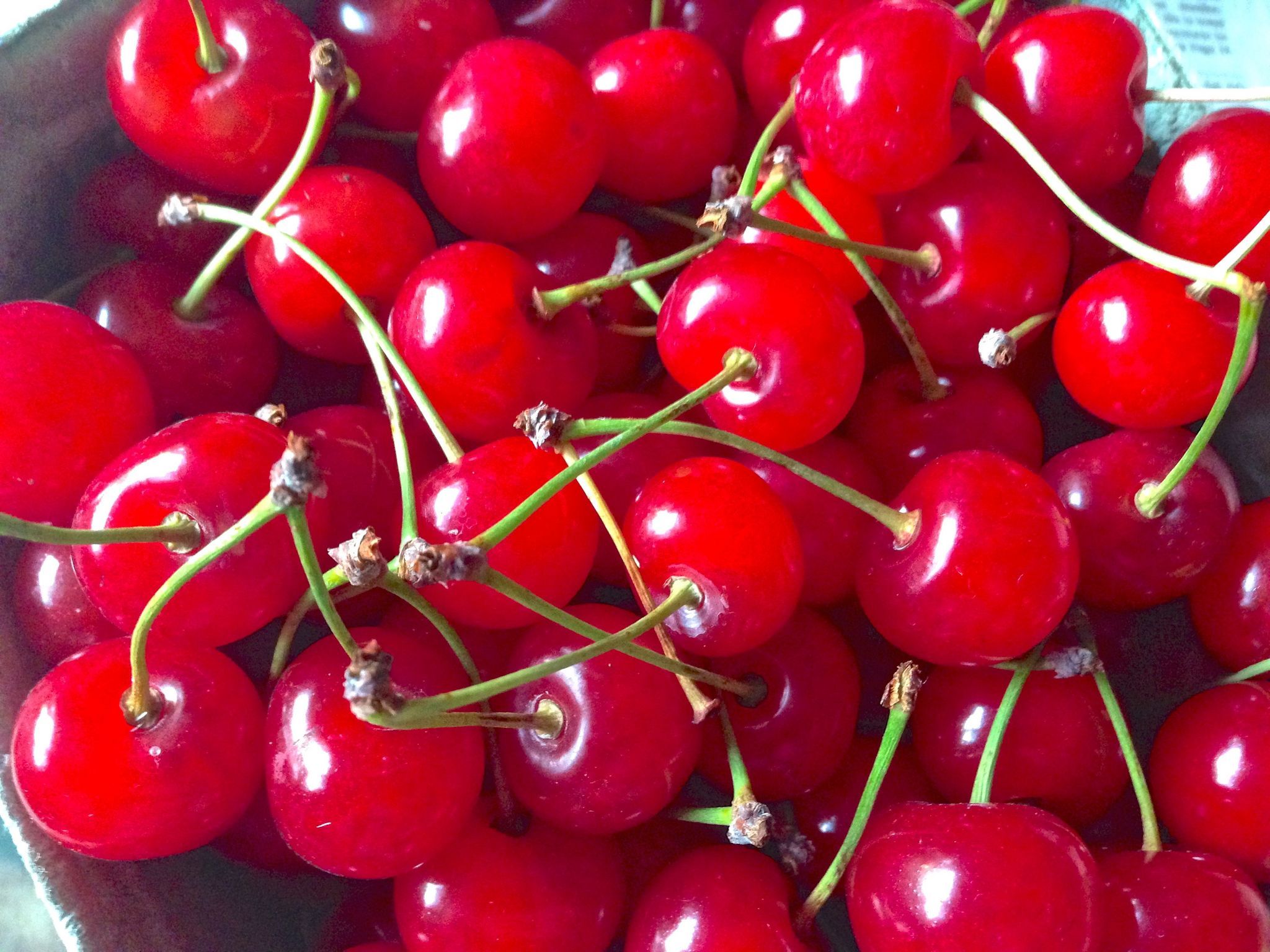 It's here but short: Northeast Ohio cherry picking time