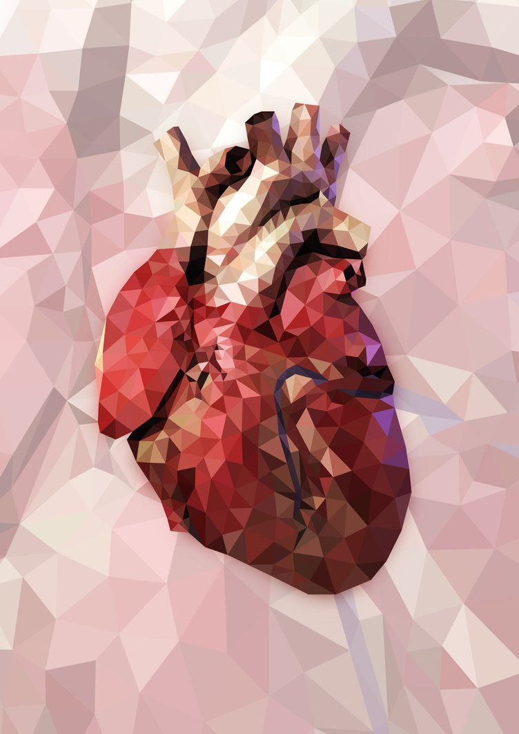 Lowpoly of a human heart