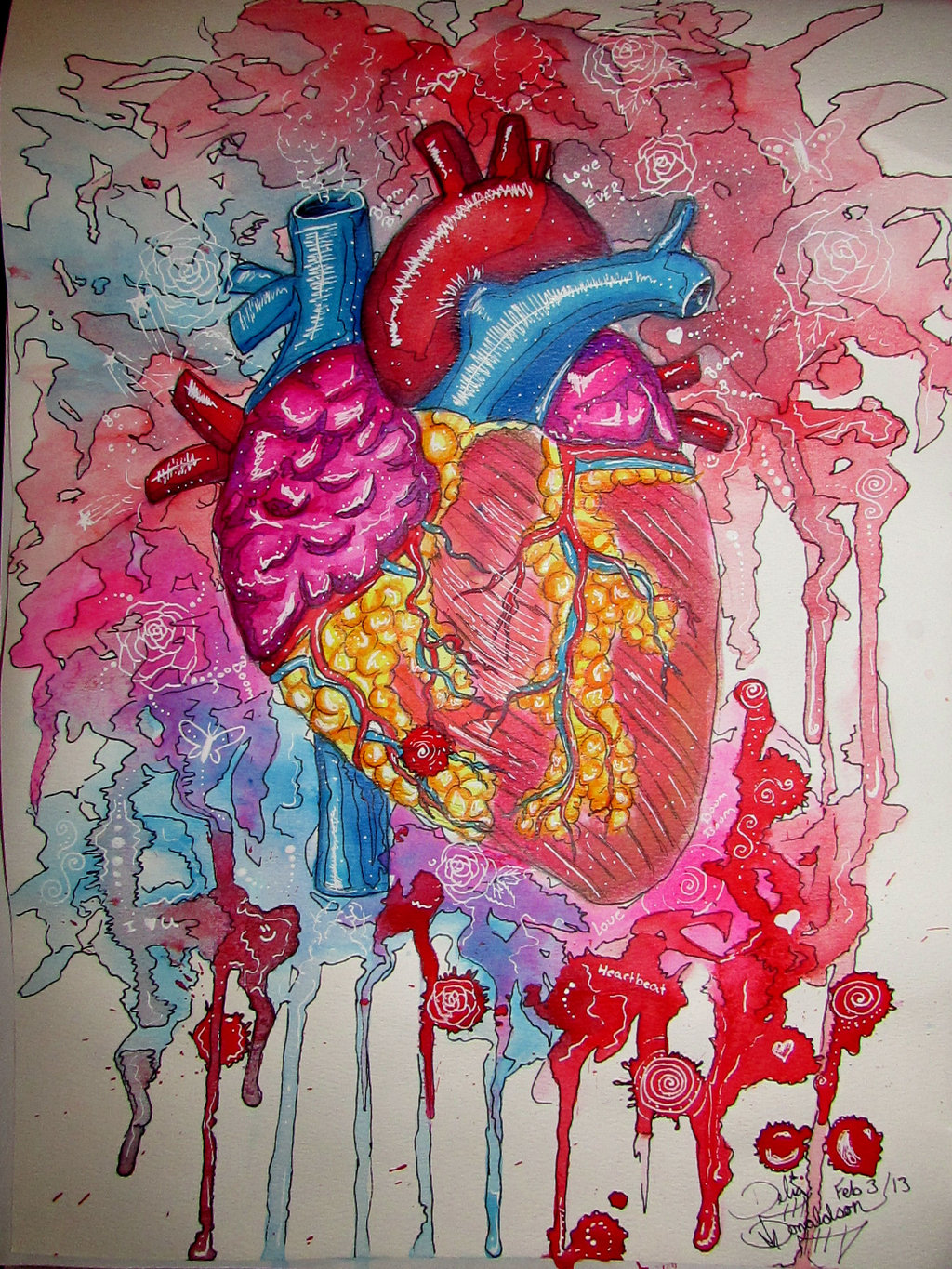 red anatomical heart png  Clip Art Library