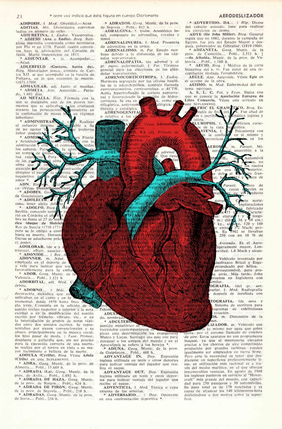 Anatomical Heart Wallpapers - Wallpaper Cave