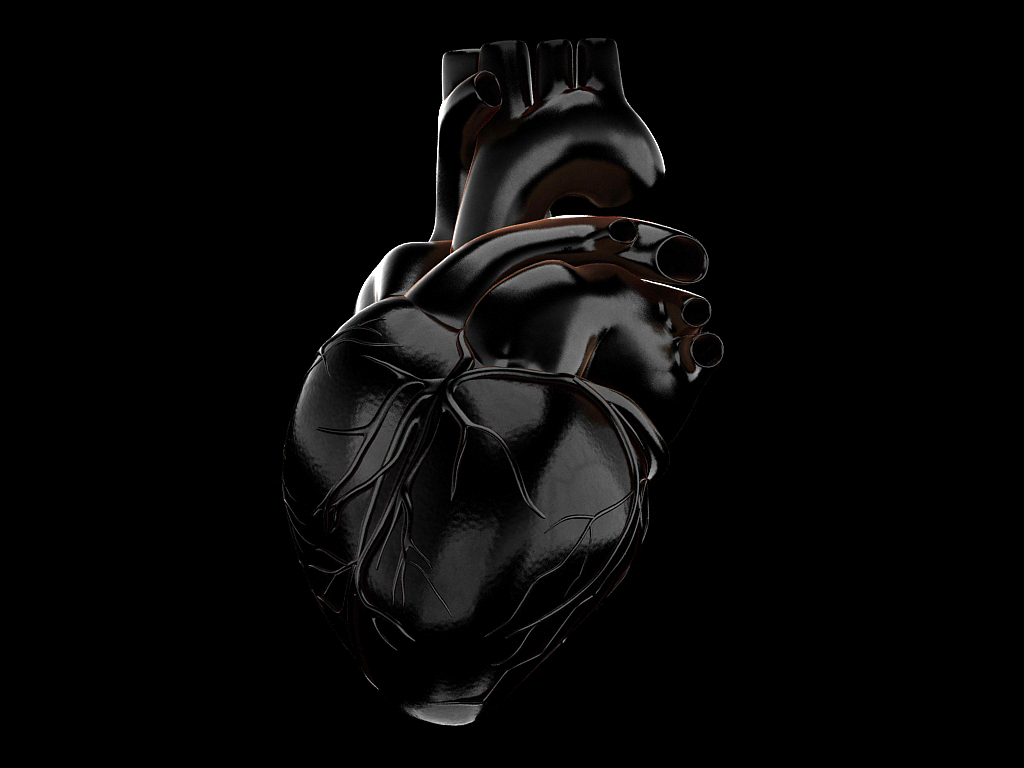 Anatomical Heart Wallpapers - Wallpaper Cave