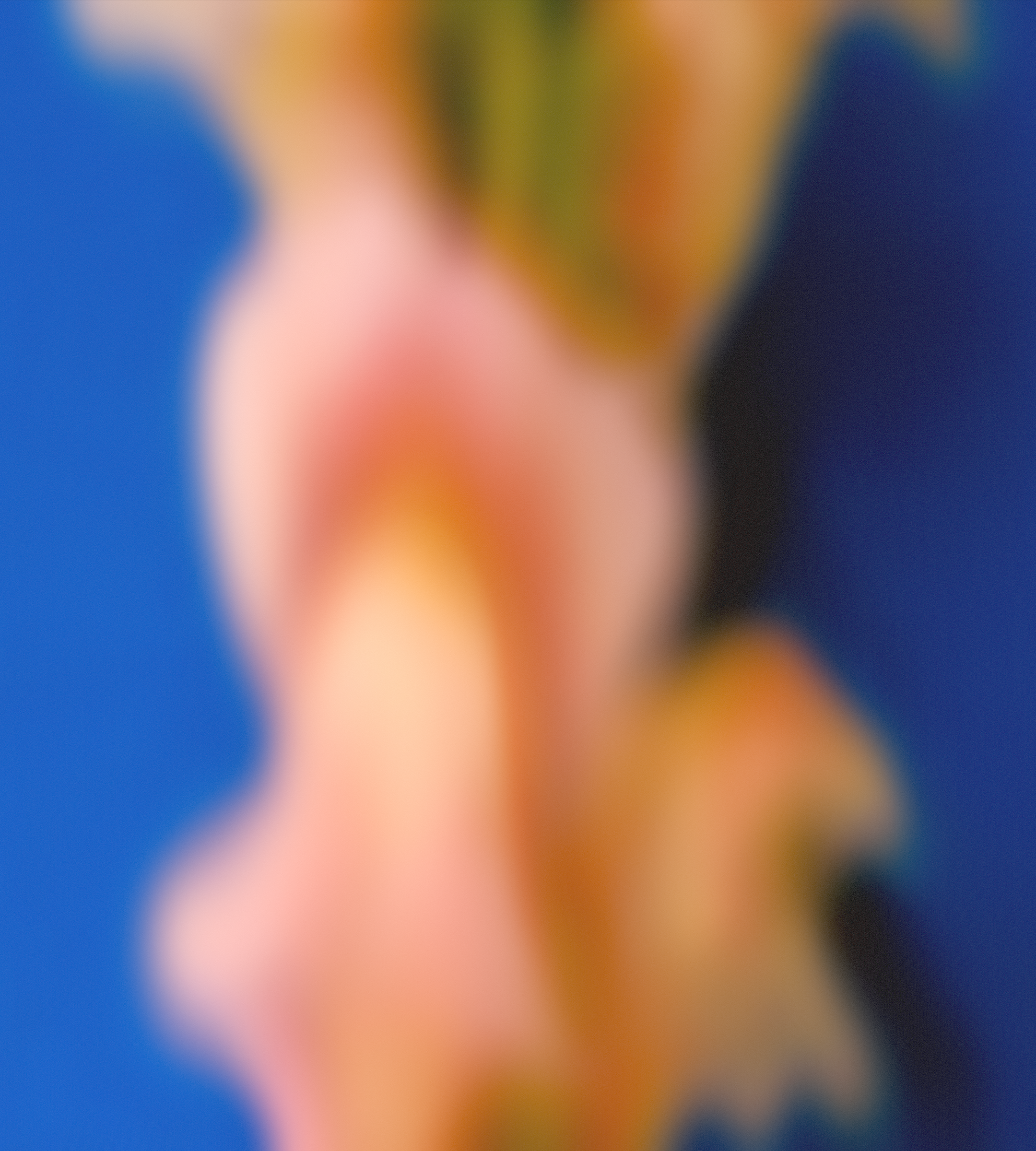 Google Pixel 6a wallpaper