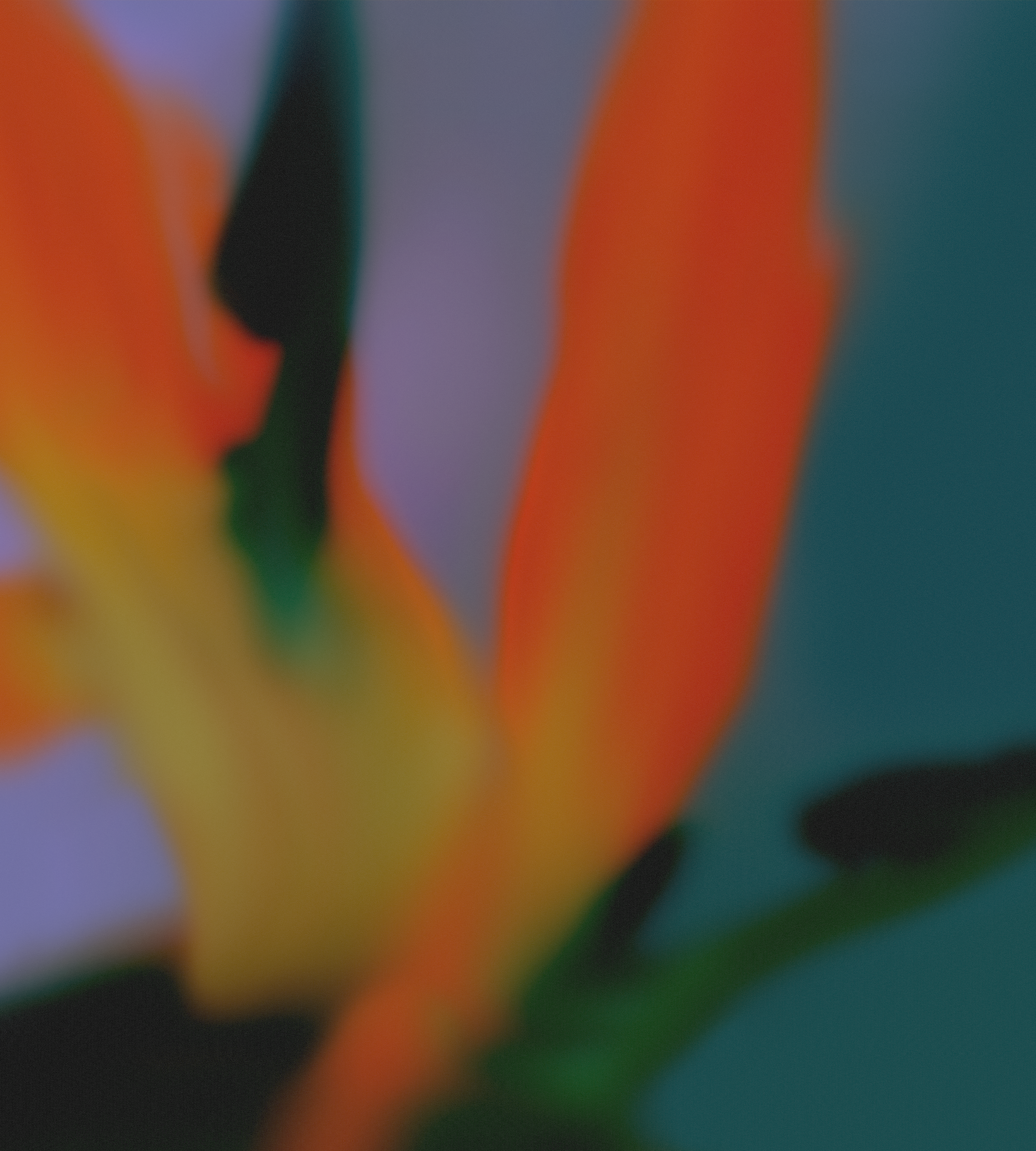 Google Pixel 6a wallpaper