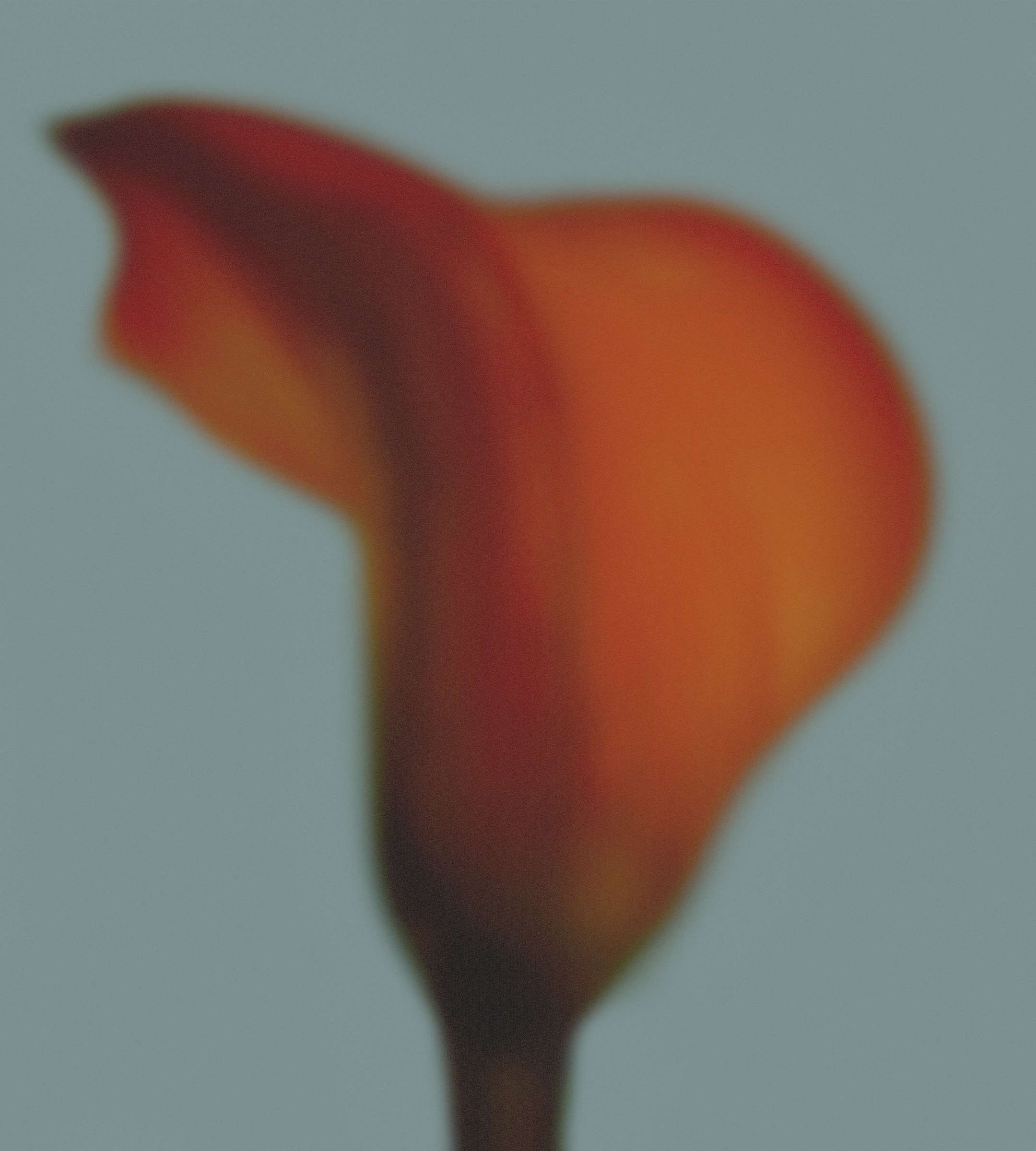 Google Pixel 6a wallpaper