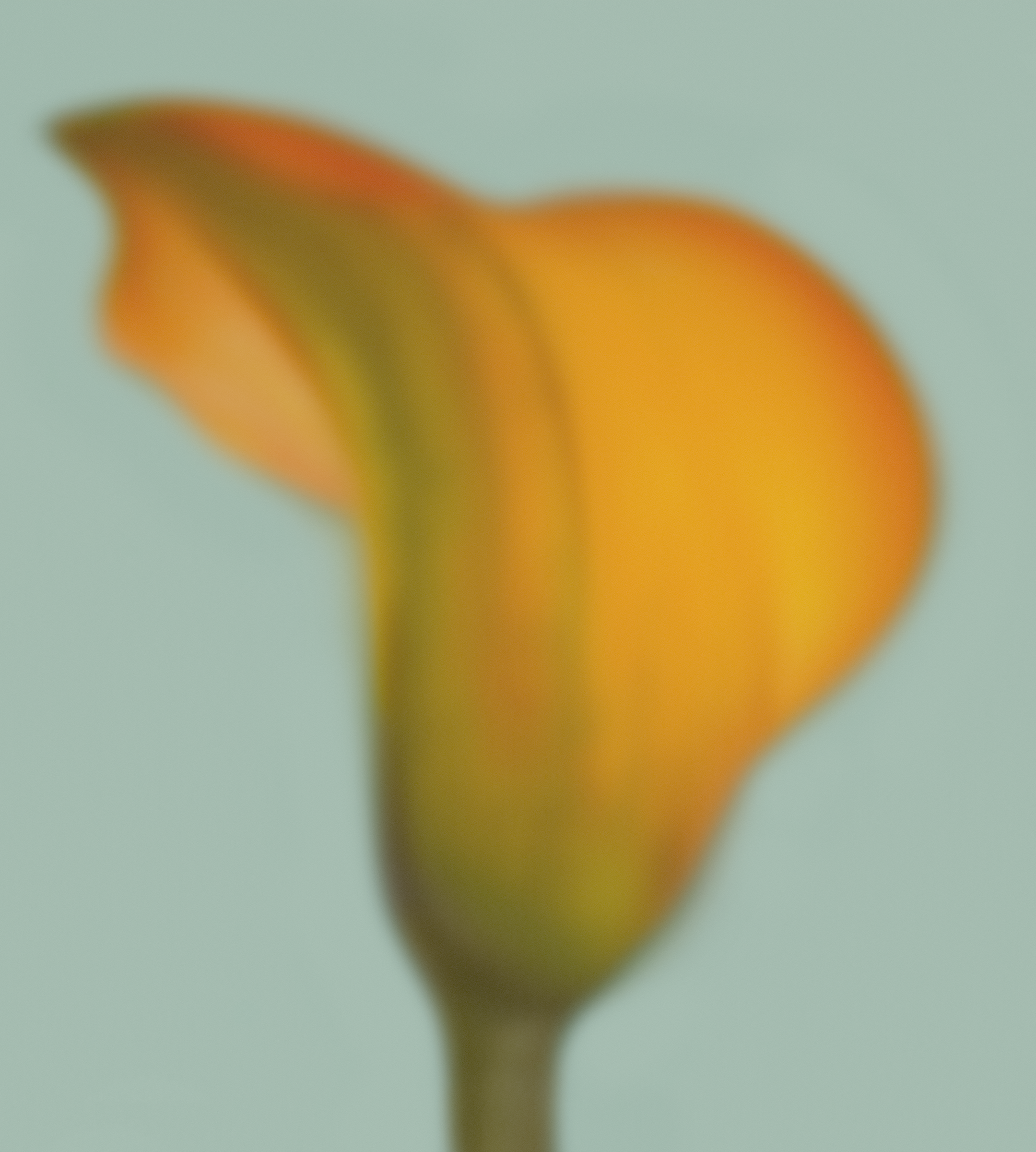 Google Pixel 6a wallpaper