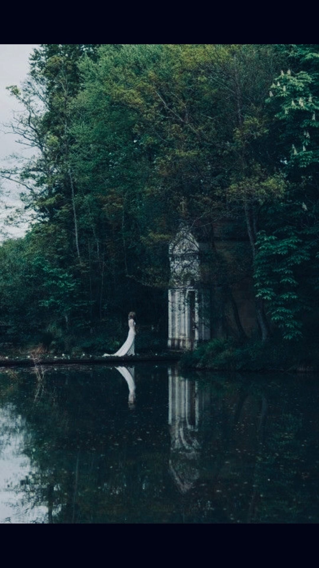 Green Academia Wallpapers Wallpaper Cave