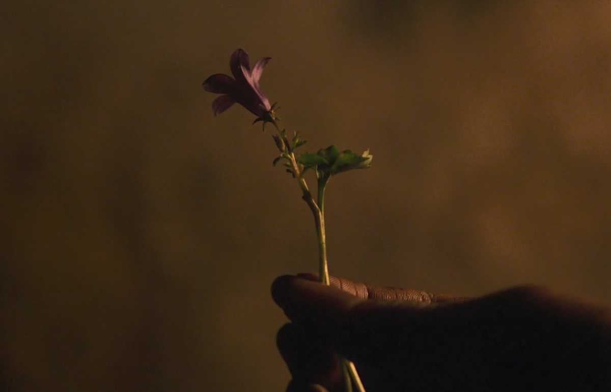 Kingdom: Ashin of the North Release Date Revealed