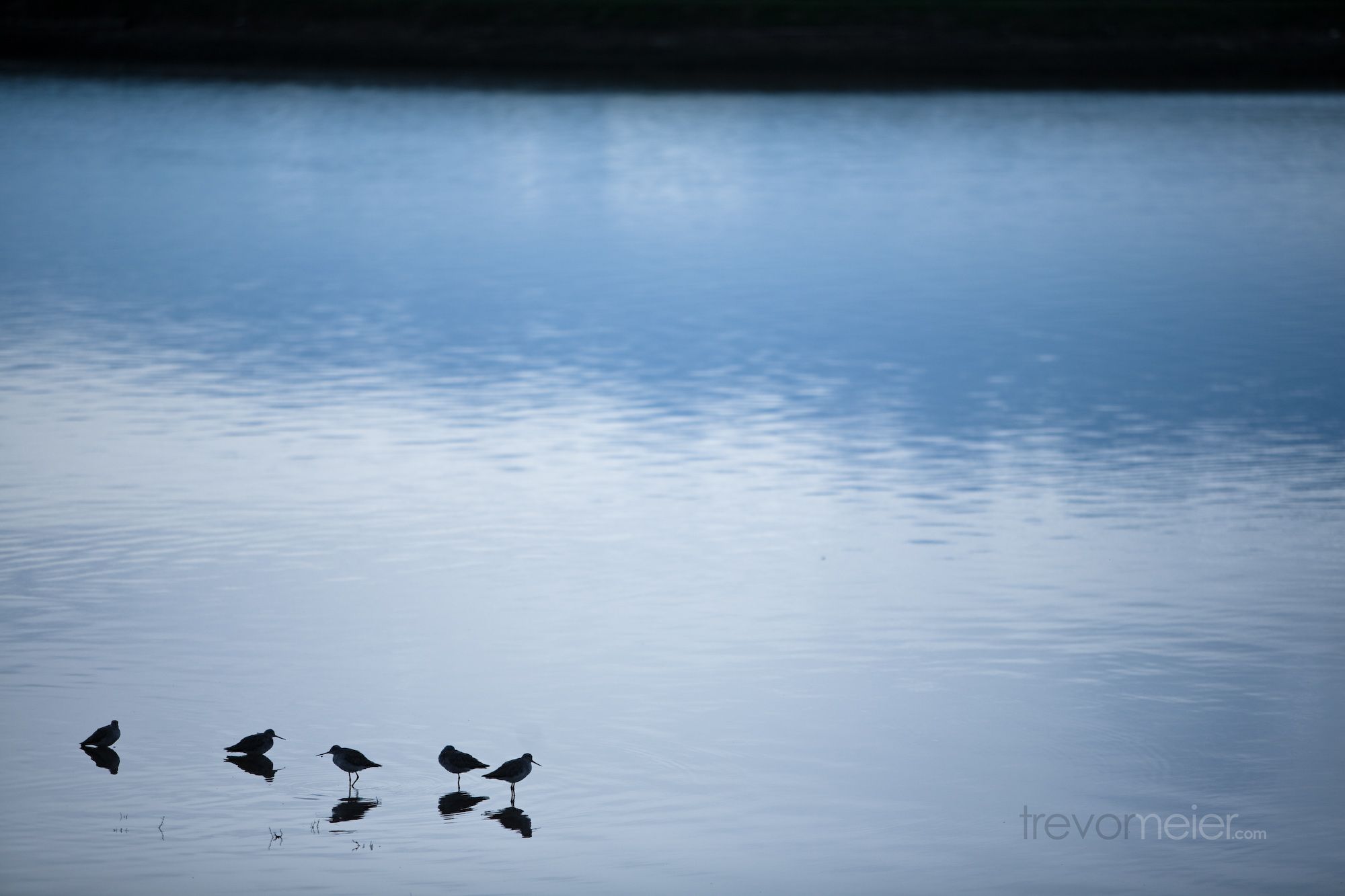 Still Water Wallpaper