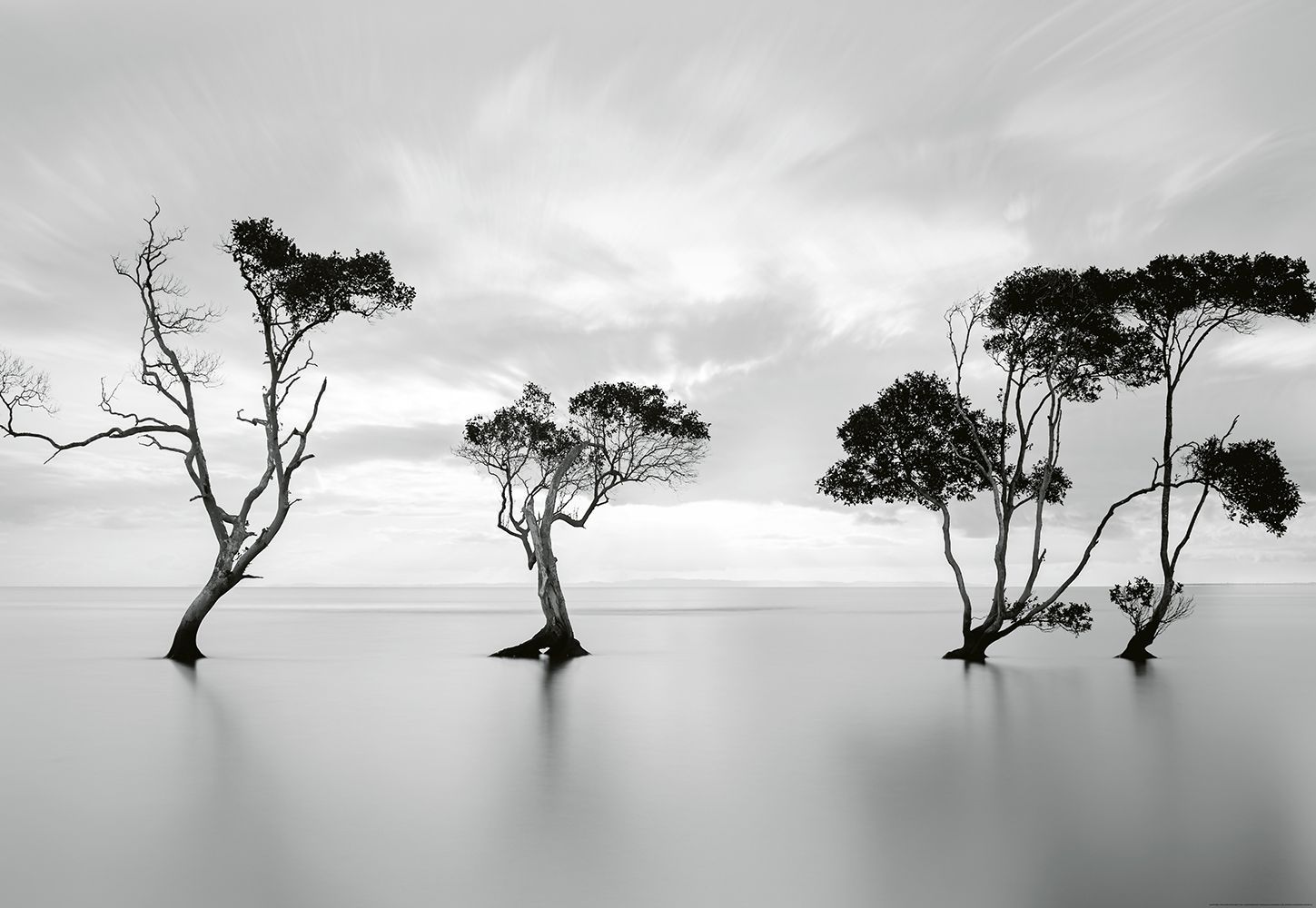 Still Water Wallpaper