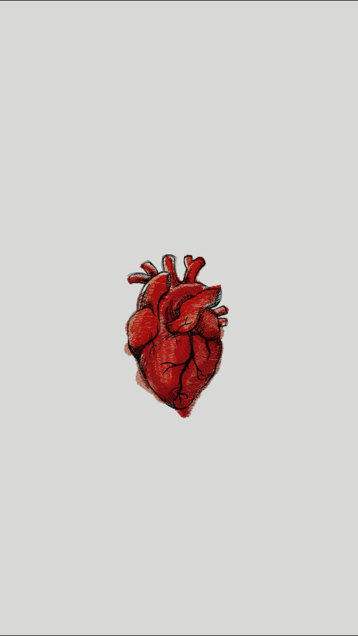Real Heart Wallpaper Free Real Heart Background