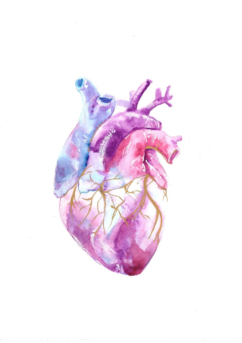 Anatomical Heart iPhone Wallpaper