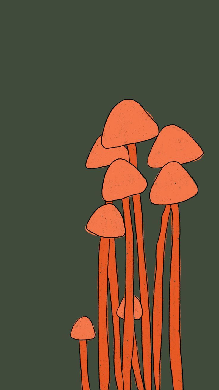 Orange Mushroom Family