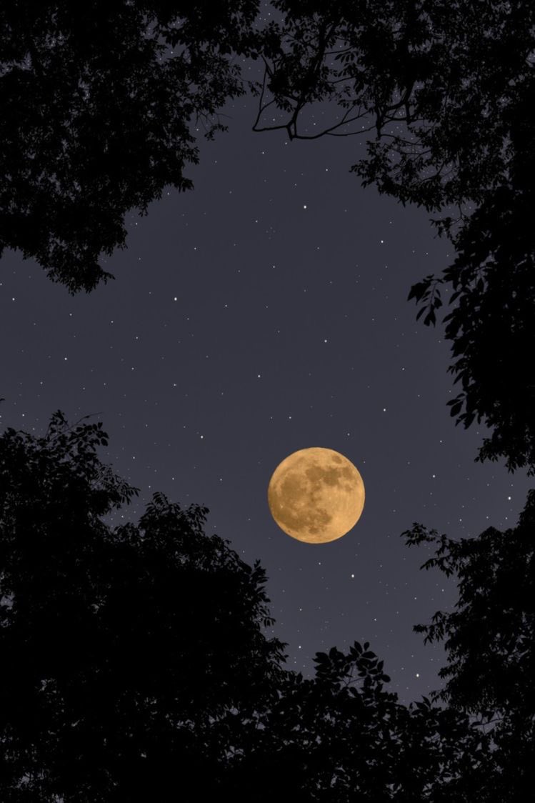 love yourself + sun aesthetic #moon #sun #aesthetic # wallpaper