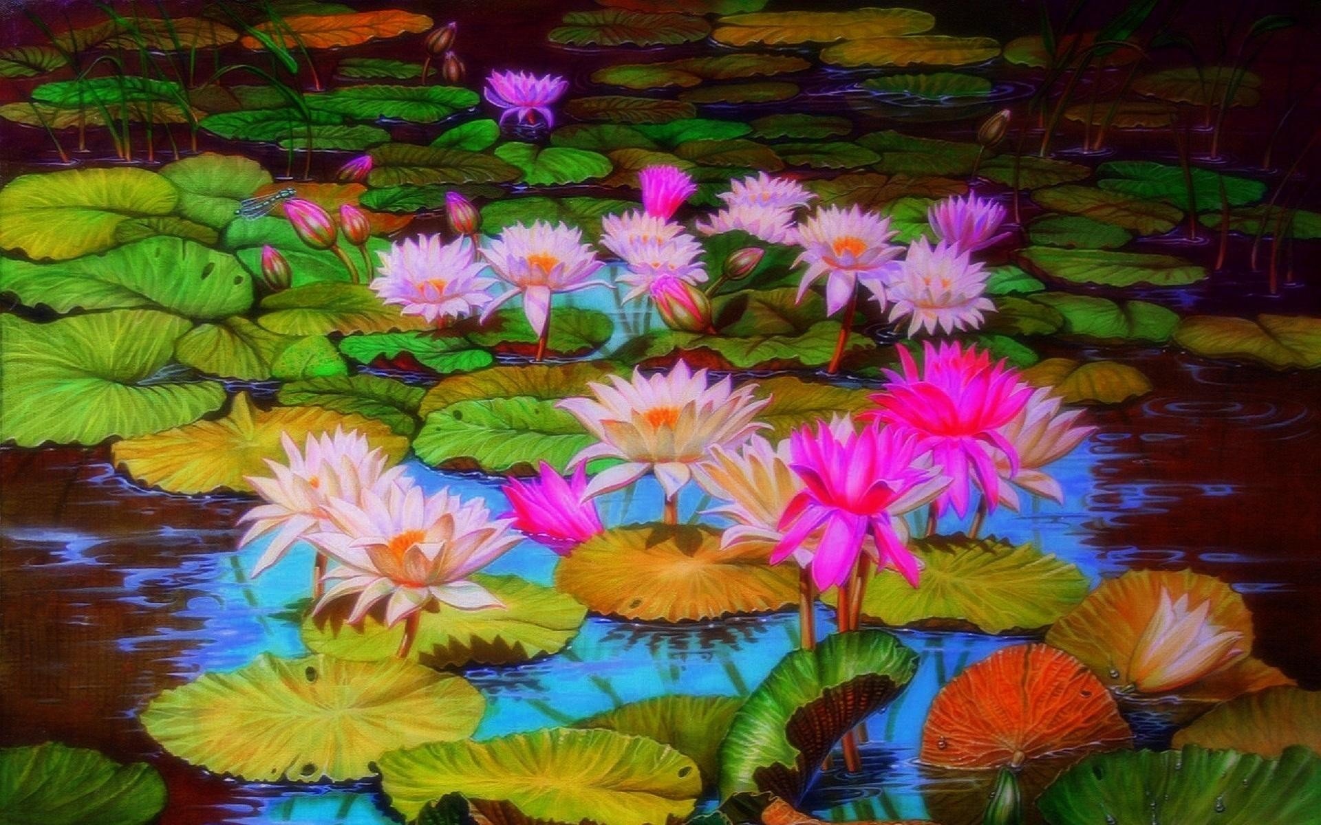 Pond with Lotus Flowers