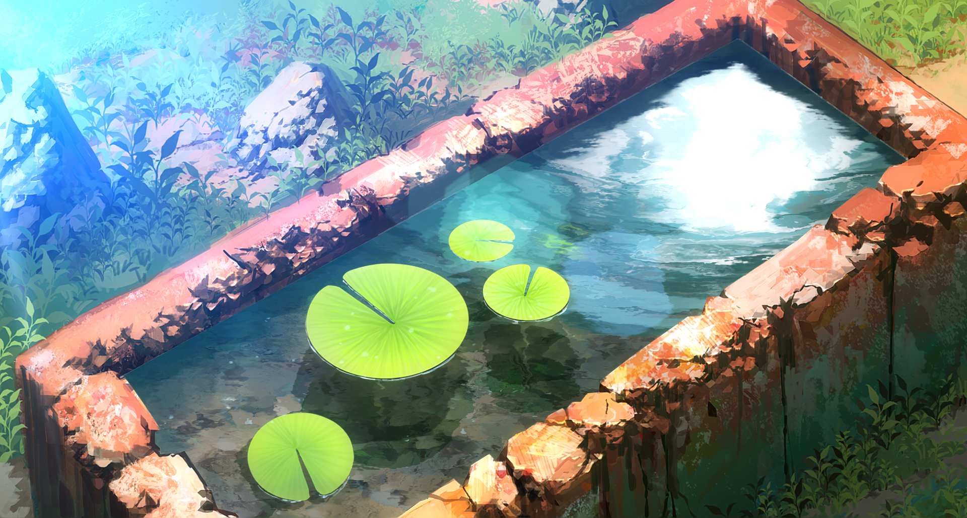 Solitary lotus pond live wallpaper [DOWNLOAD FREE]