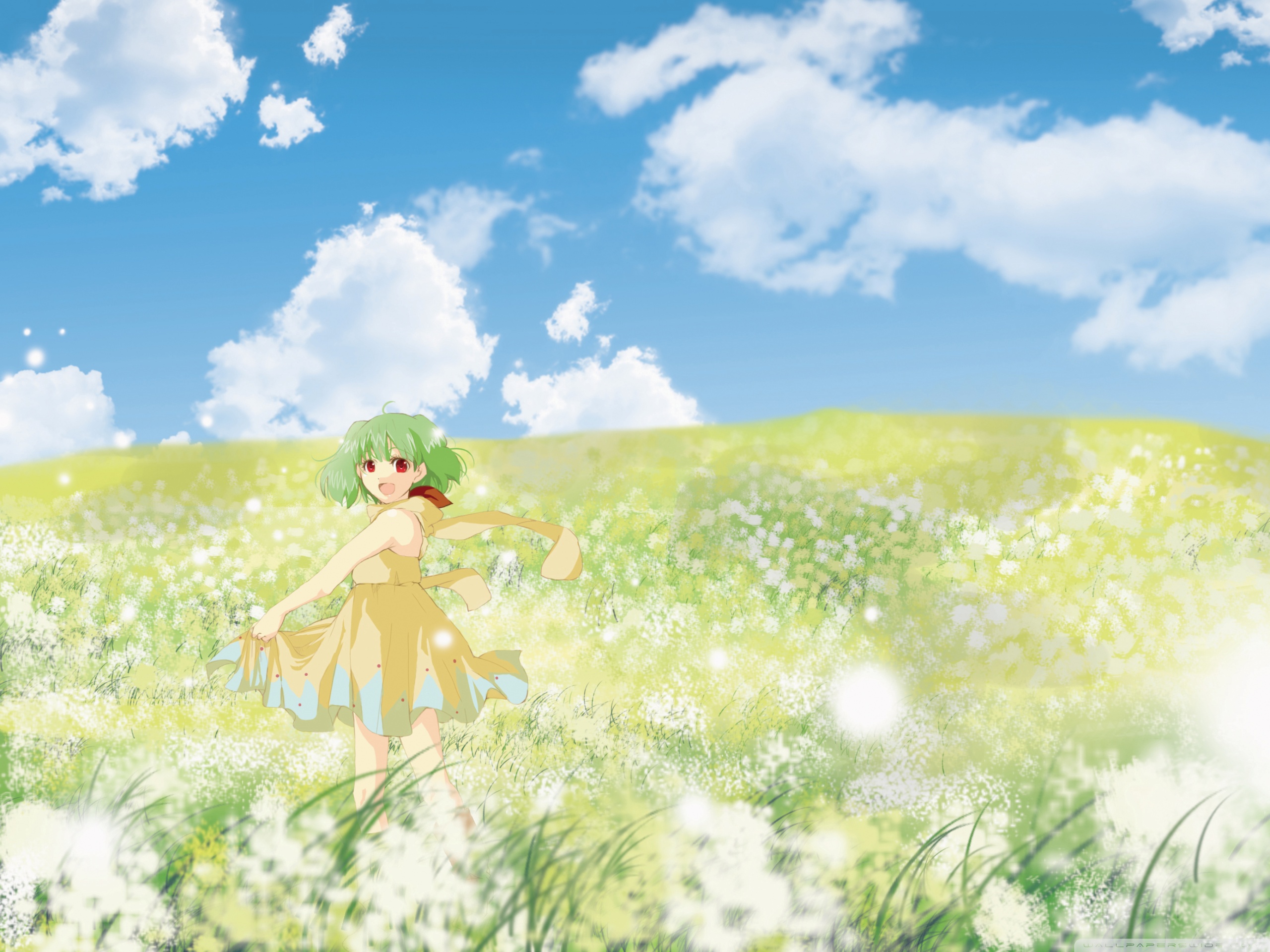 Anime Girl In Flower Field Ultra HD Desktop Background Wallpaper for 4K UHD TV, Tablet