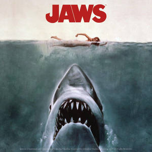 Download Grey Jaws Movie Poster Wallpaper