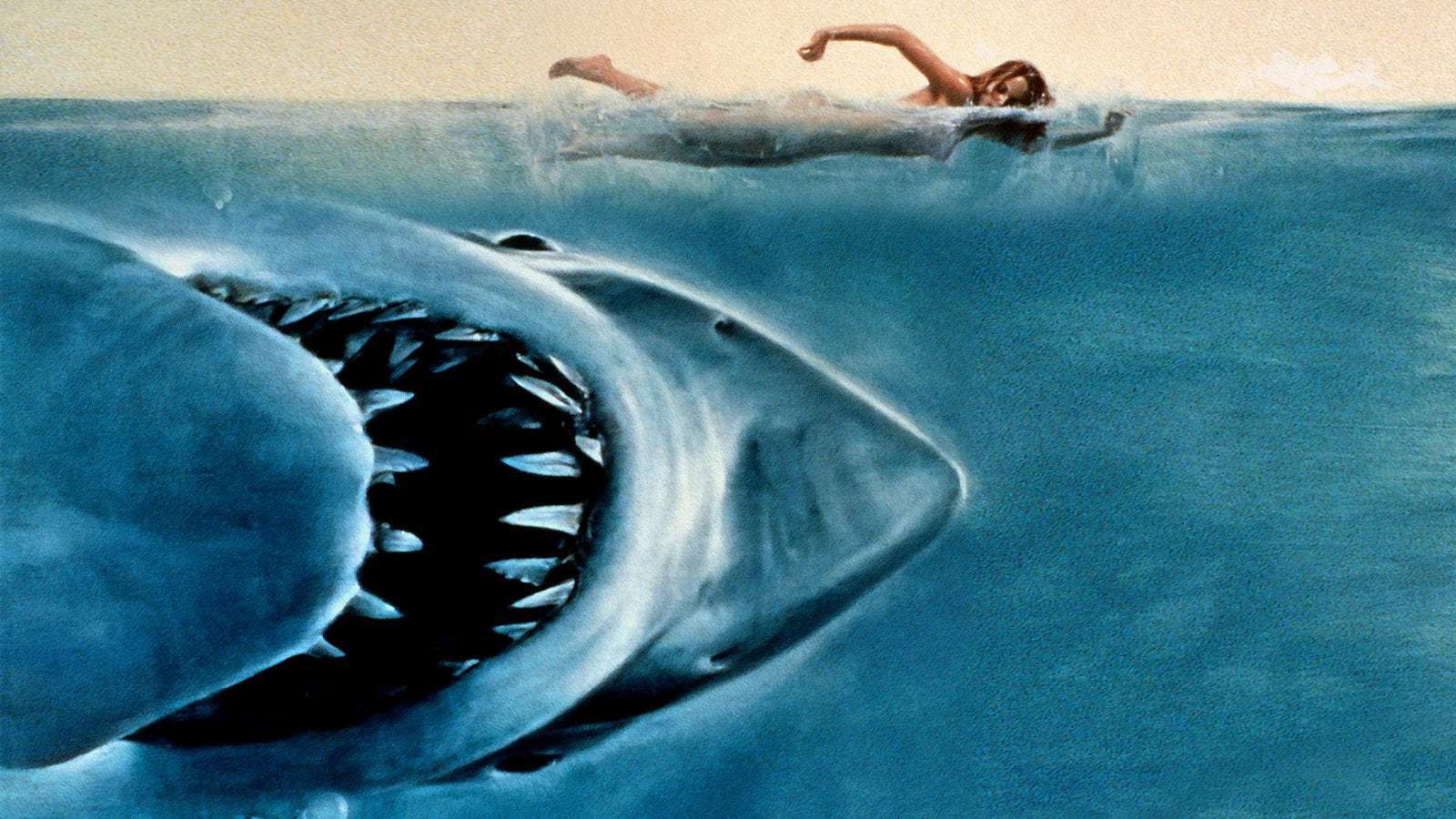 How the 'Jaws' movie gave the world a terrifying shark attack