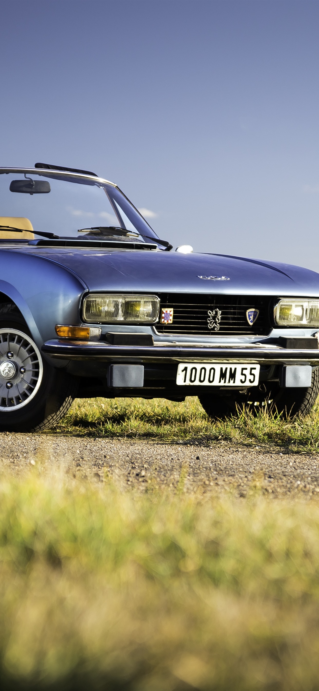 Peugeot 504 V6 Convertible, Green Grass 1242x2688 IPhone 11 Pro XS Max Wallpaper, Background, Picture, Image