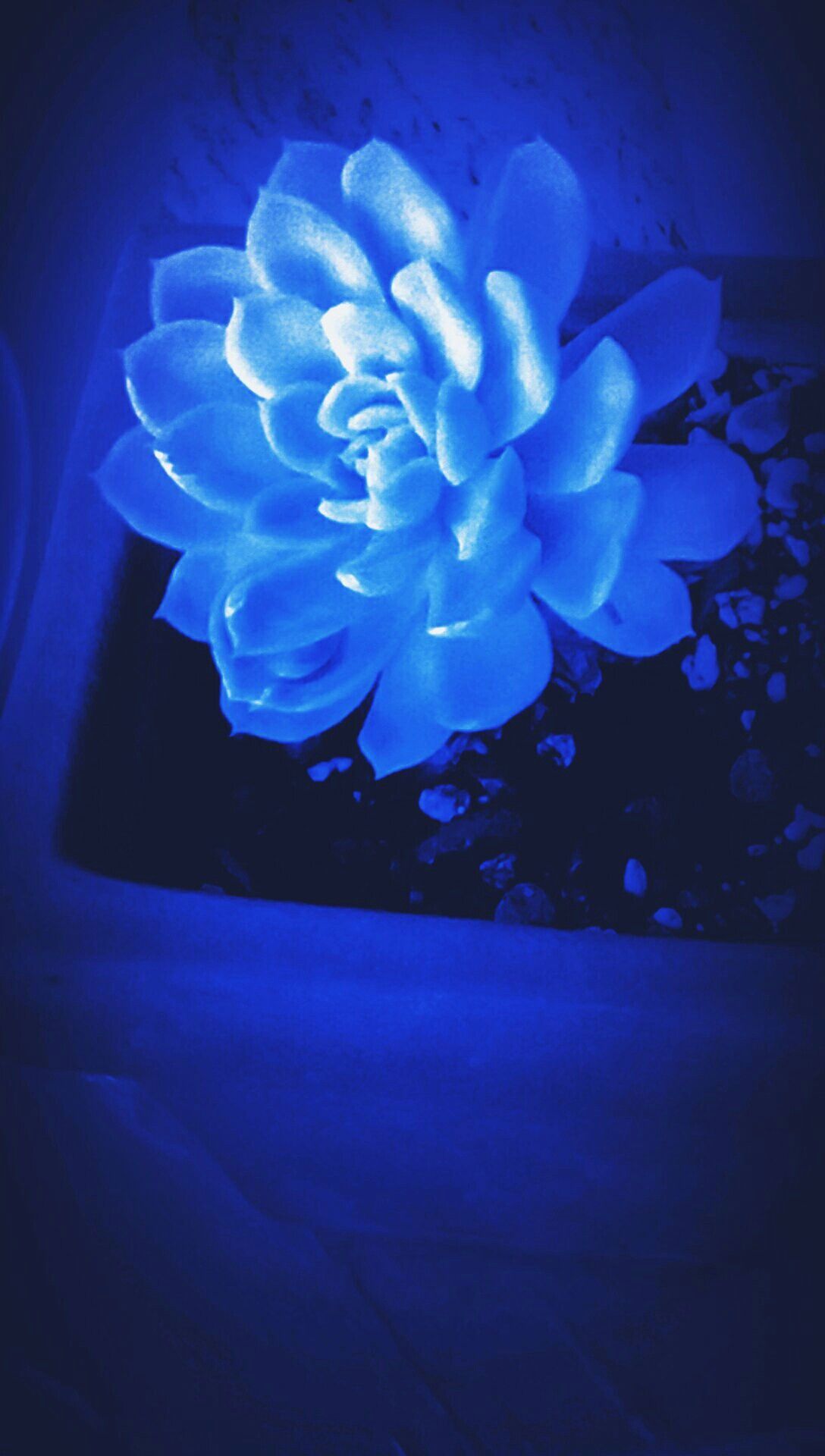 Light Blue Aesthetic Wallpaper for Mobile