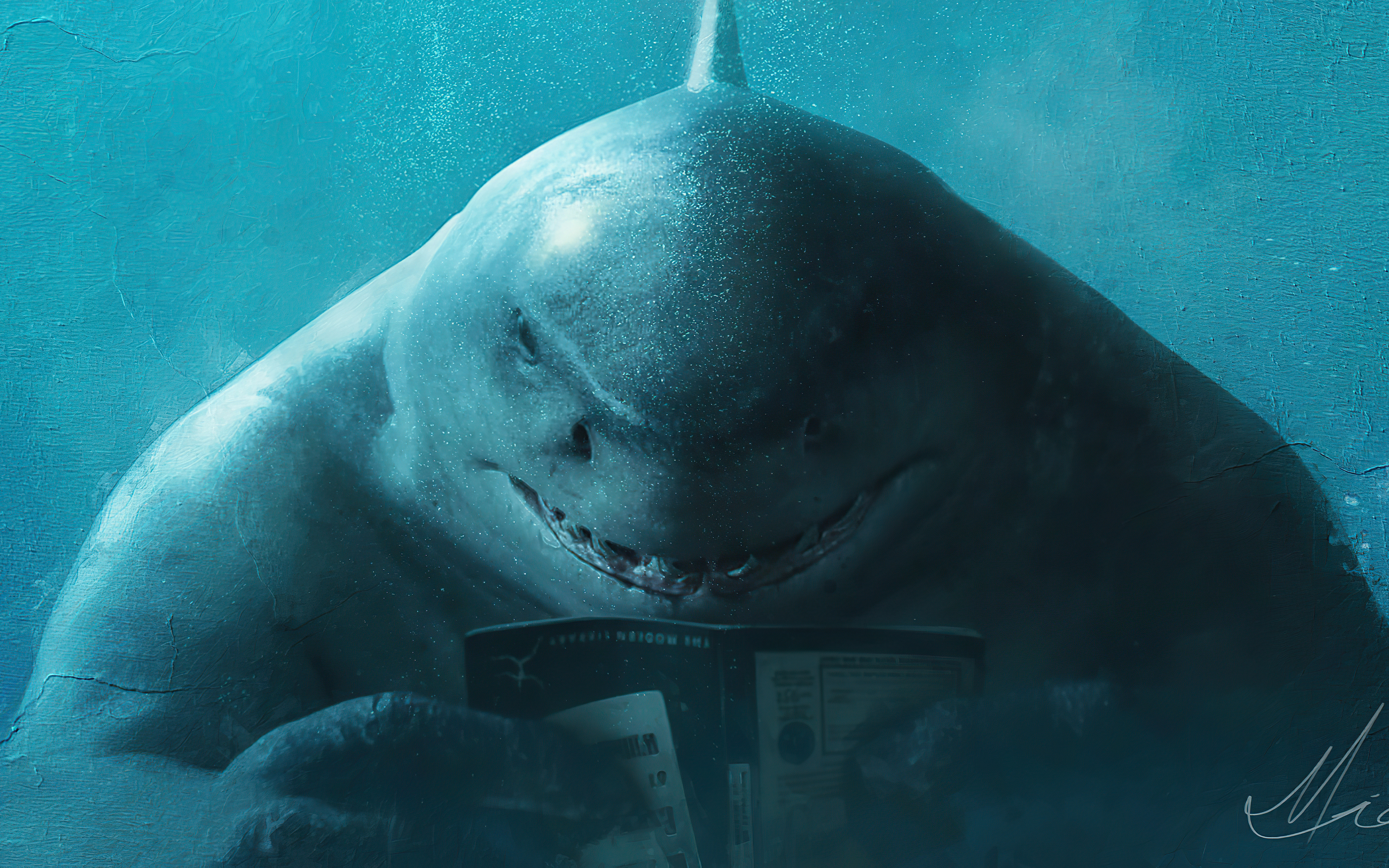 King Shark X Jaws 4k HD 4k Wallpaper, Image, Background, Photo and Picture