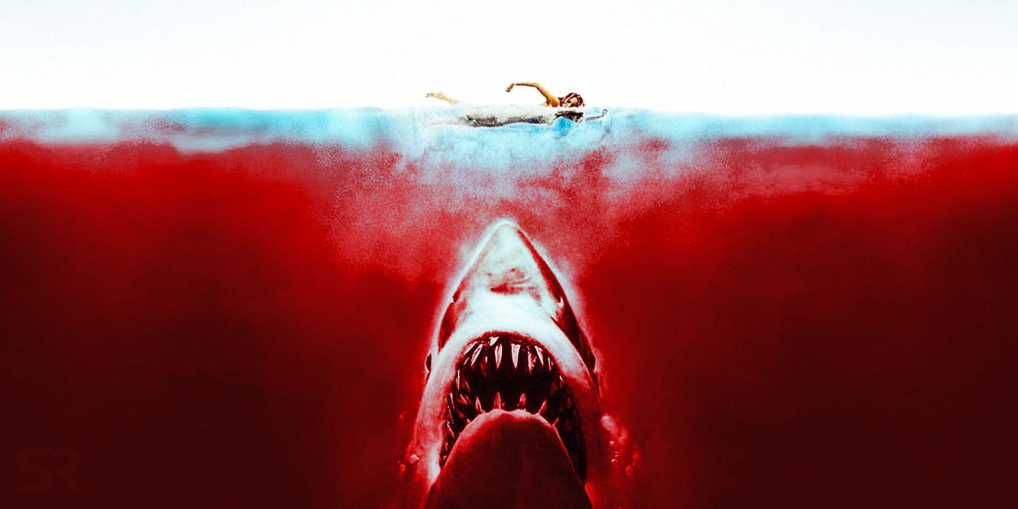 Jaws Movie Desktop Wallpapers Wallpaper Cave