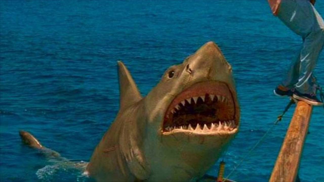 Jaws The Revenge Goofs