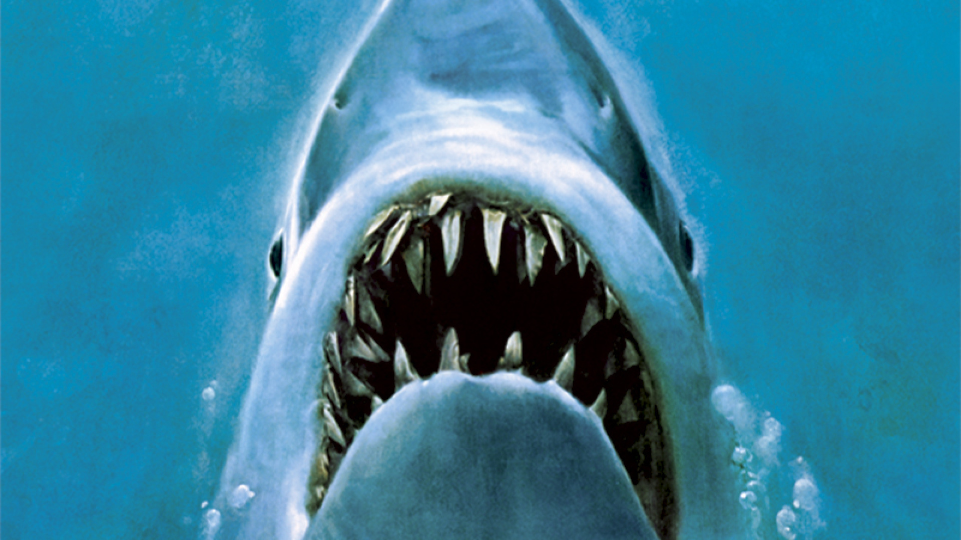 Watch Jaws Movies Online