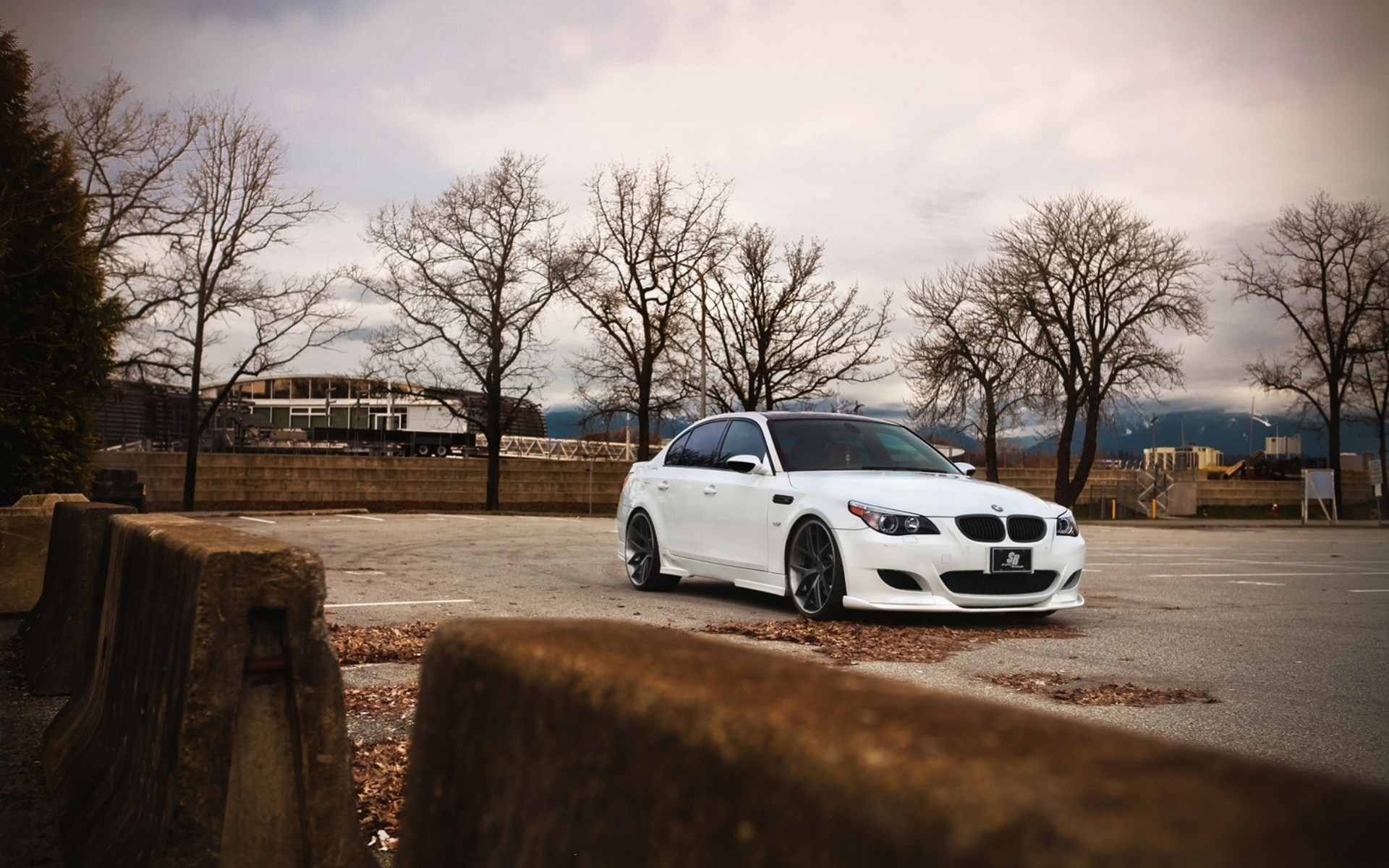 BMW M5 E60 Autumn Photo