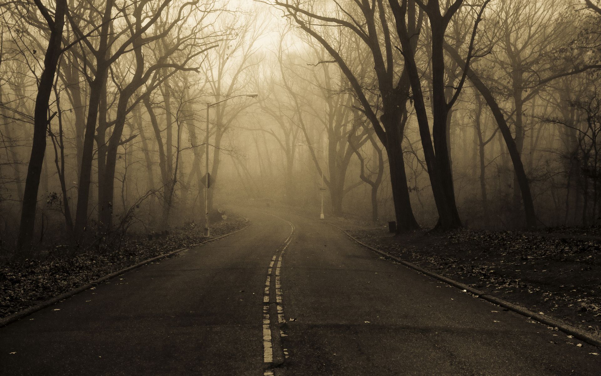 Creepy Foggy Wallpaper