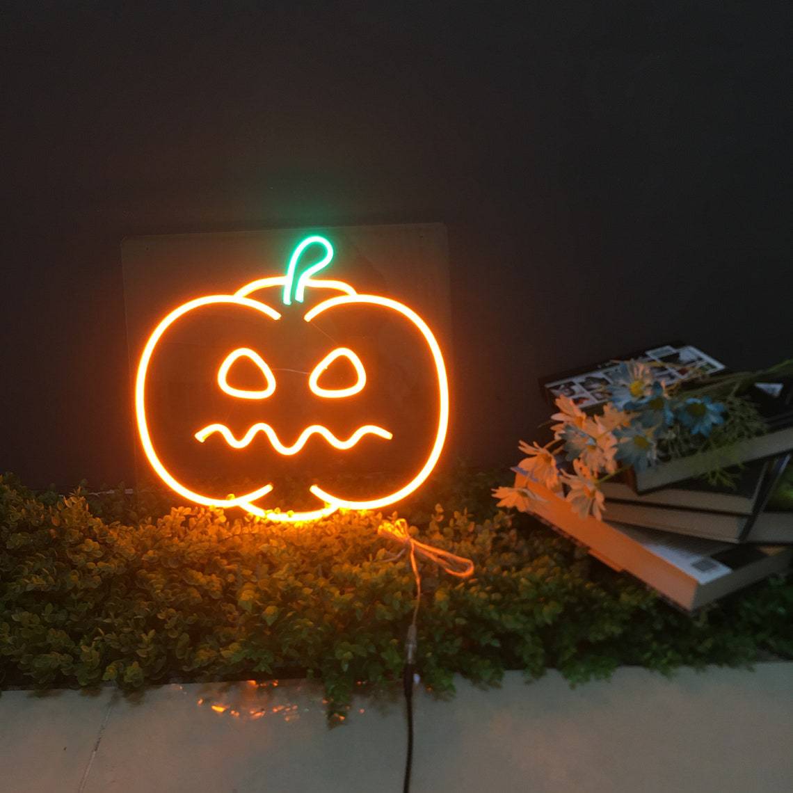 Pumpkin Neon Sign, Indoor Pumpkin Lighting Decor, Halloween Table Pumpkin Neon Lamp for Halloween Party, Bar, Room Decorations. Neon Bulbs & Tubes