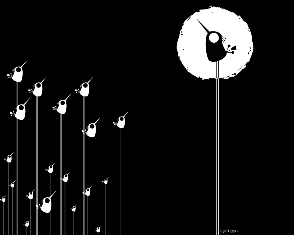 Black And White Bird Wallpaper