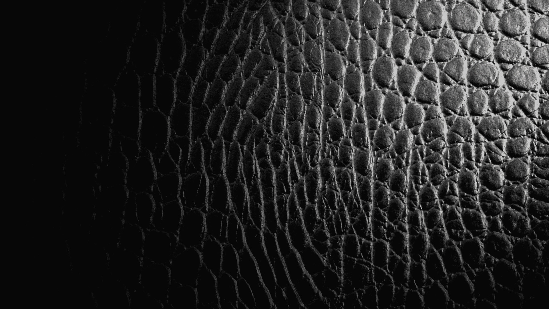 Free download Download Reptile Crocodile Leather Texture Goodwp Other Wallpaper [1920x1080] for your Desktop, Mobile & Tablet. Explore Leather Textured Wallpaper. Black Leather Wallpaper, Leather Wallpaper Wallcoverings, Leather Wallpaper for Walls