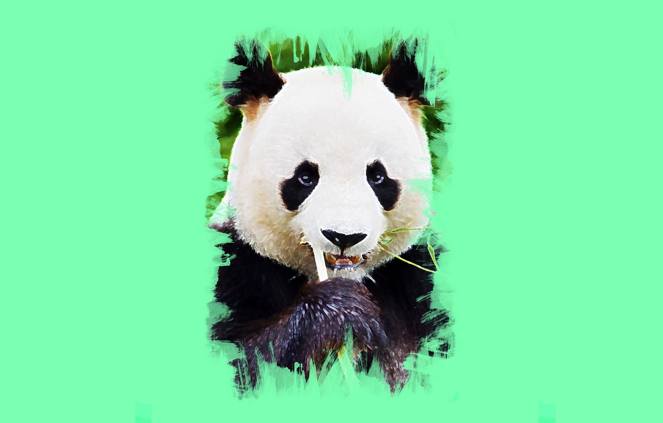 Wallpaper look, art, Panda, cute image for desktop, section животные