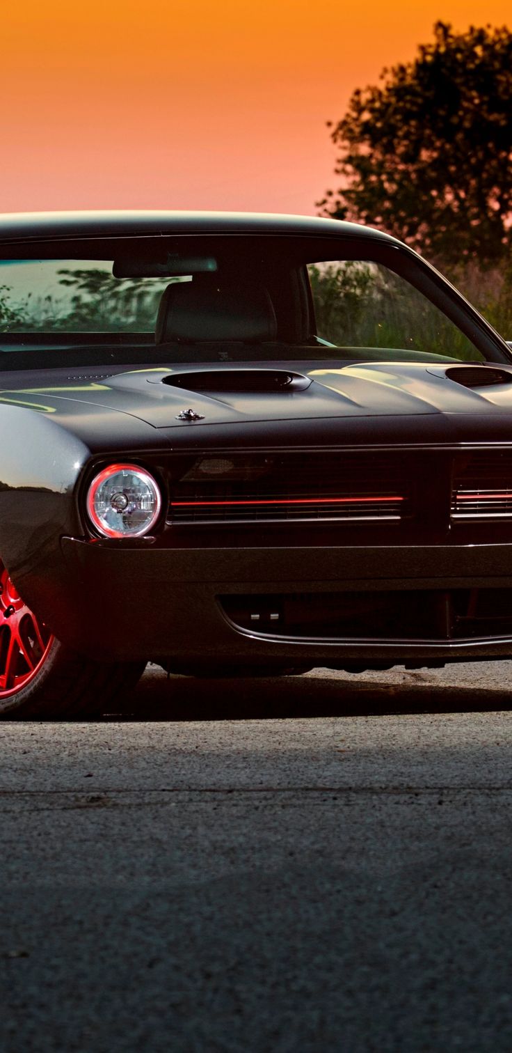 Black muscle car, 1440x2960 wallpaper