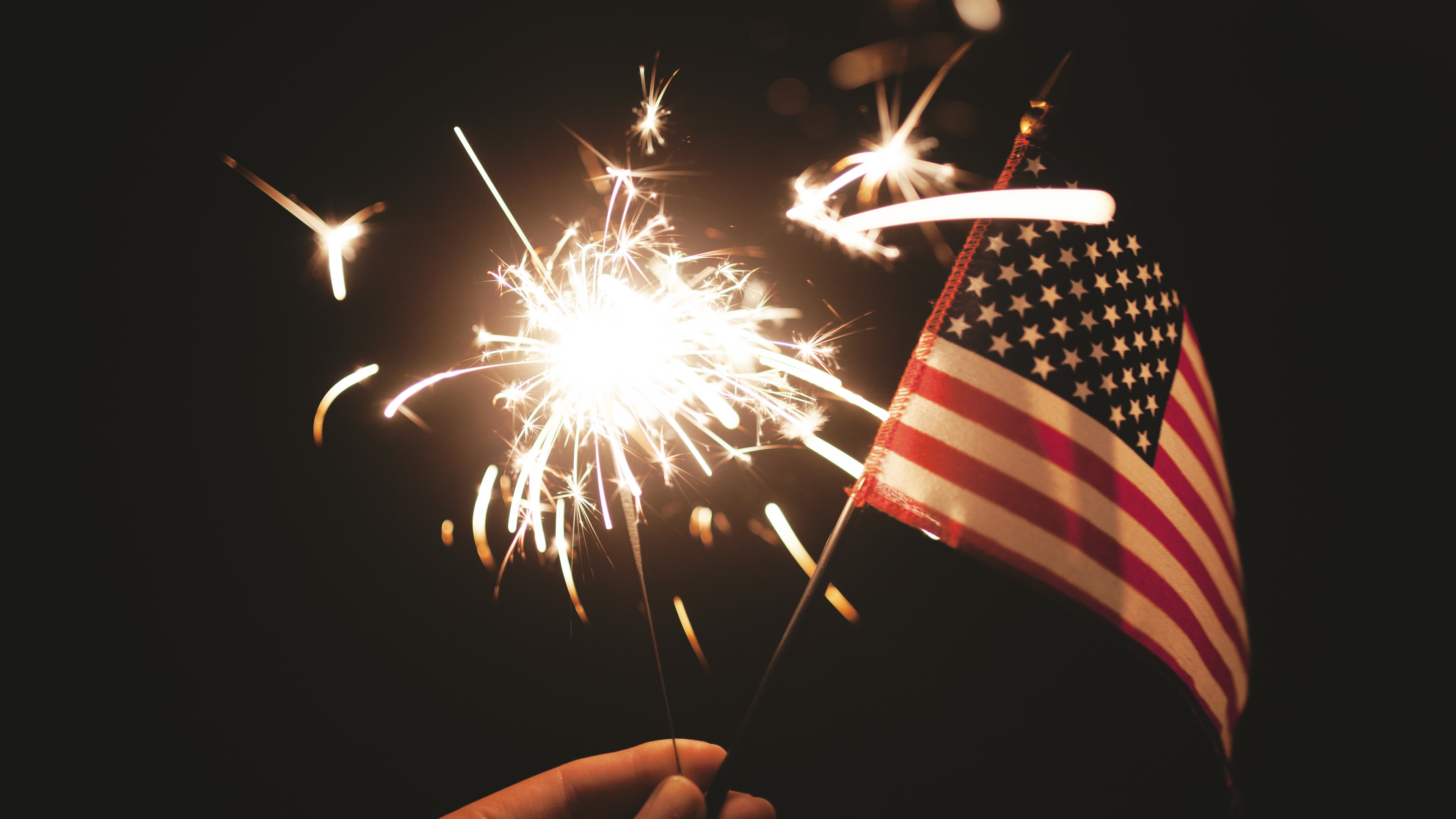 Download Fireworks American Flag