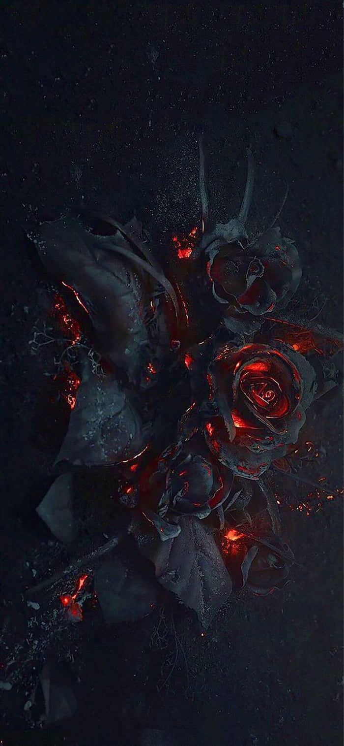 Burn this love. Gothic wallpaper, Black roses wallpaper, Rose wallpaper