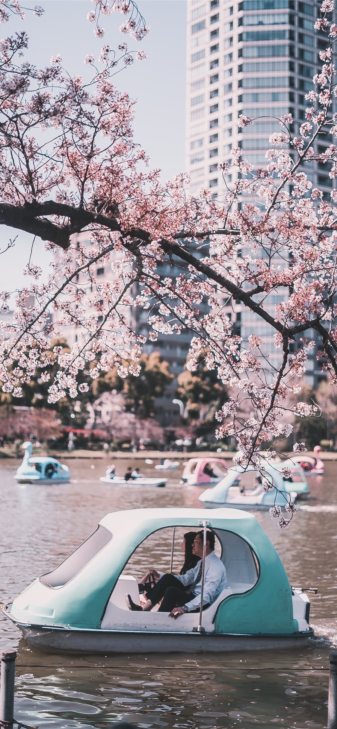 Ueno Park Tokyo Japan iPhone X Wallpaper Free Download