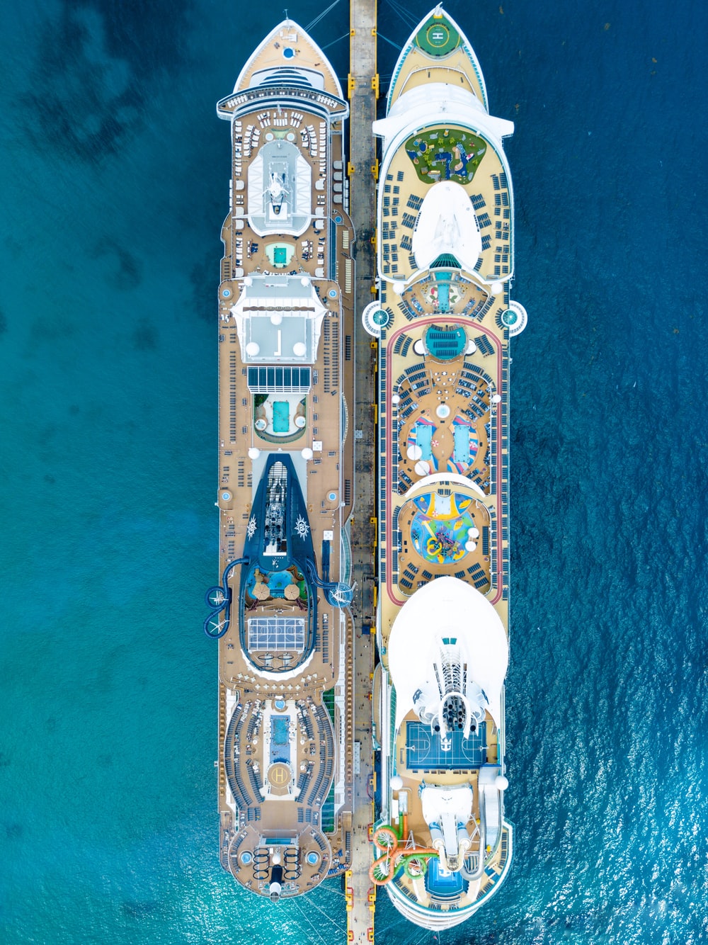 Cruise Picture [HQ]. Download Free Image