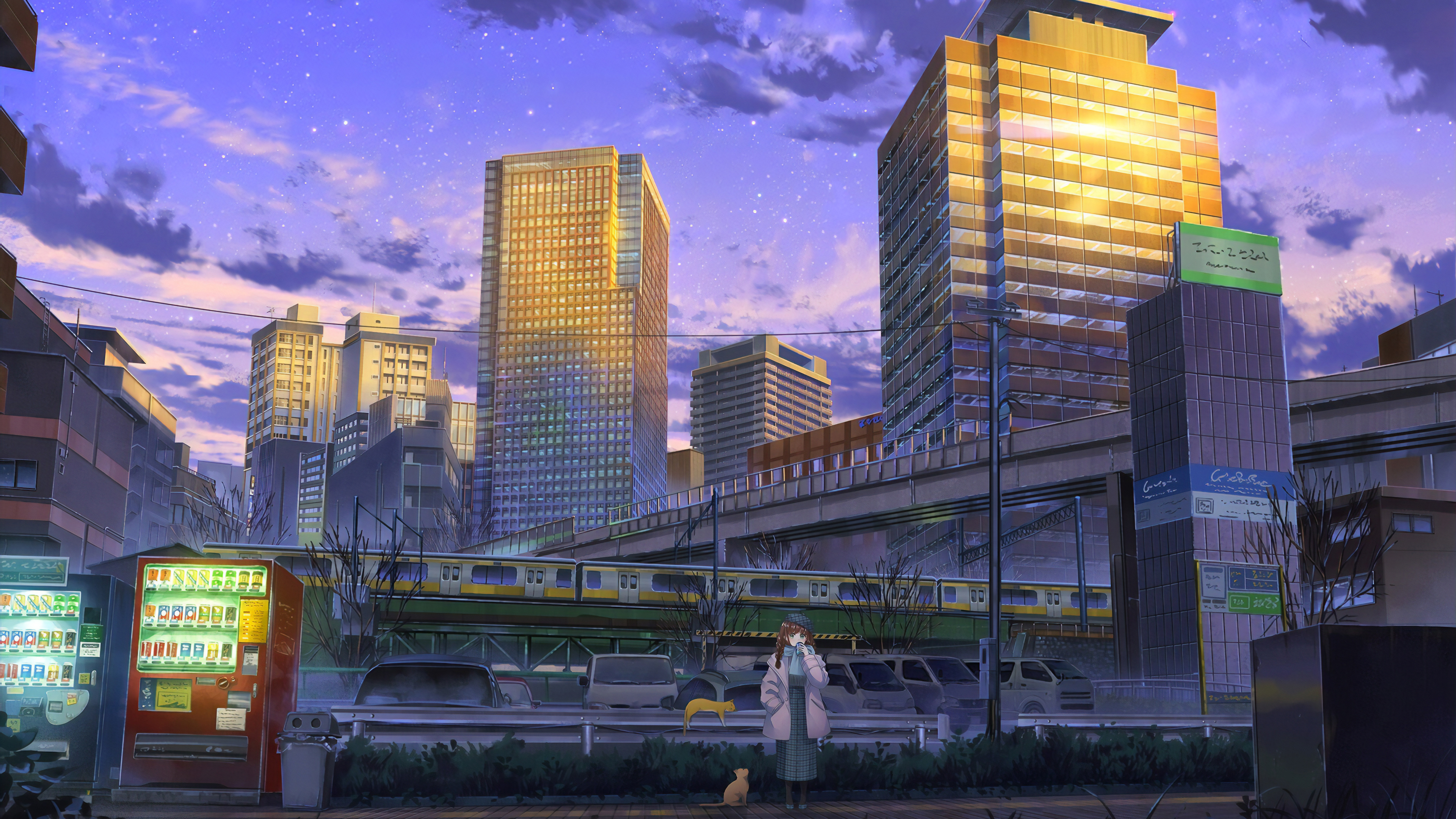 Anime Girl Cityscape Cats, HD Anime, 4k Wallpaper, Image, Background, Photo and Picture