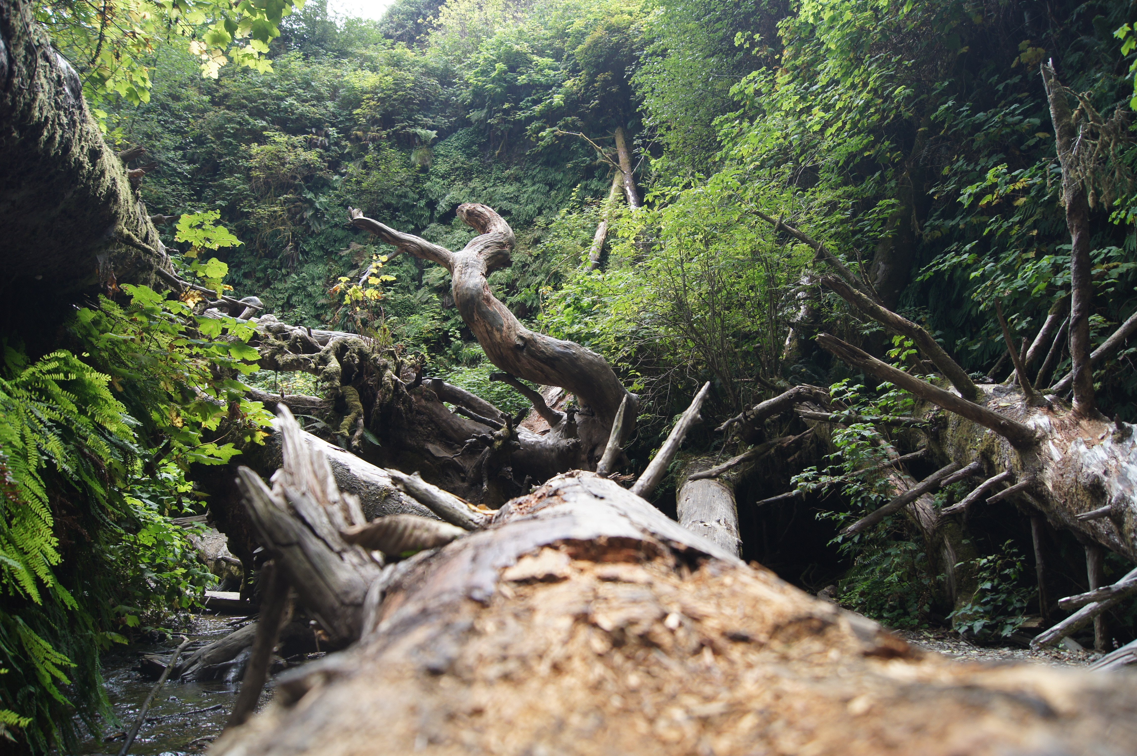 of Down 4K wallpaper for your desktop or mobile screen