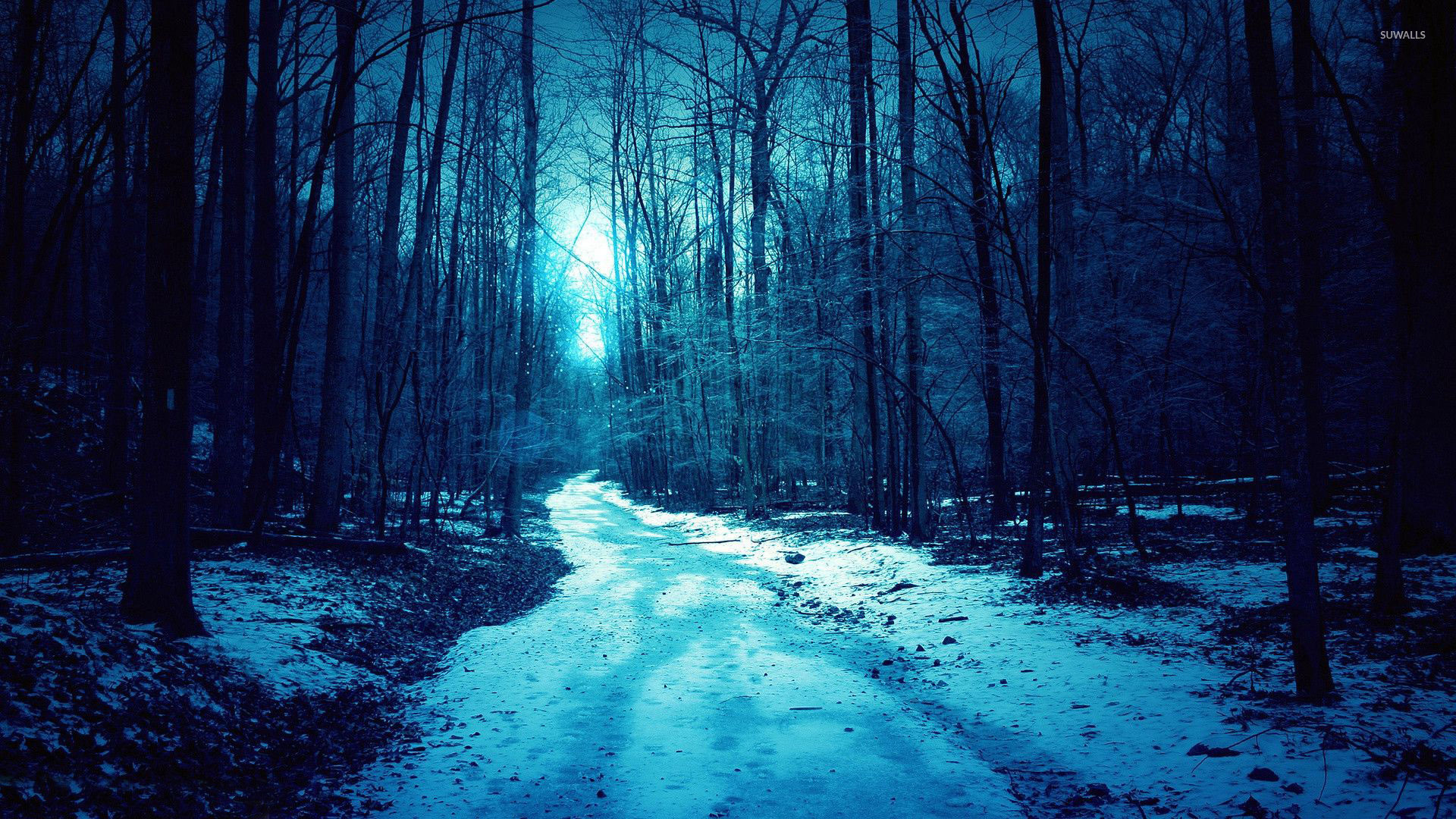 Light snow in the woods wallpaper wallpaper