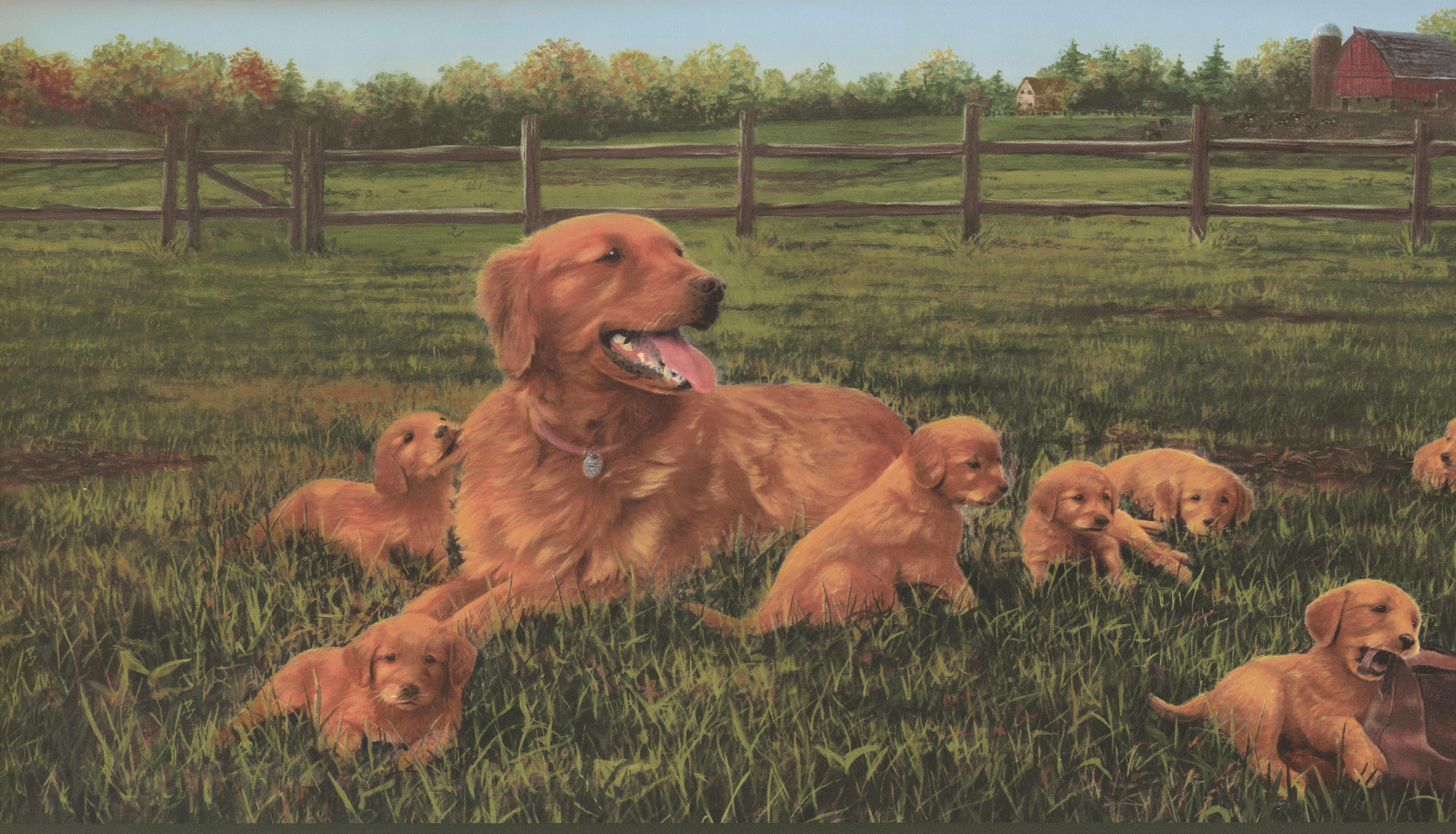 Darby Home Co Eloi Farm Dog Puppies in the Field Extra Wide 15' L x 13.5 W Wildlife Wallpapers Border