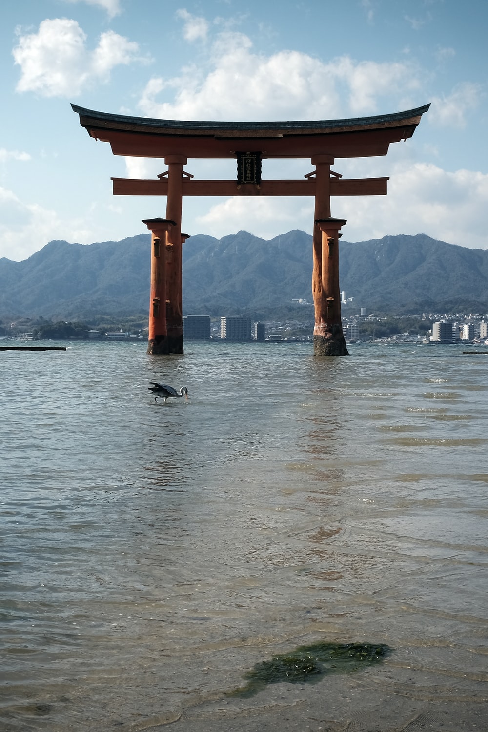 Torii Gate Picture. Download Free Image